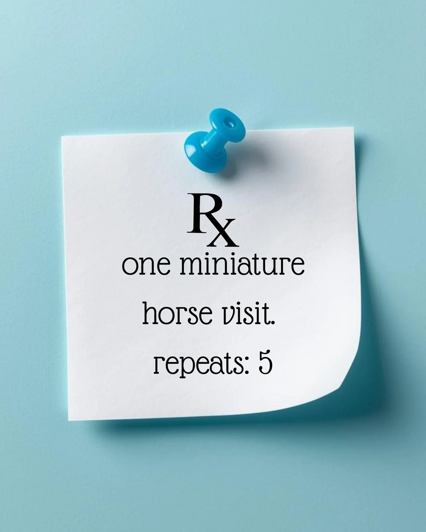 Prescription from Dr. Stash, DVM (Definitely Very Mini):

Rx:
One miniature horse visit
Repeats: 5

Side effects may include smiling, unexpected laughter, and a warm fuzzy feeling. 

No pharmacy required

🩵Stash and @onehealthpartners 

Thank you to