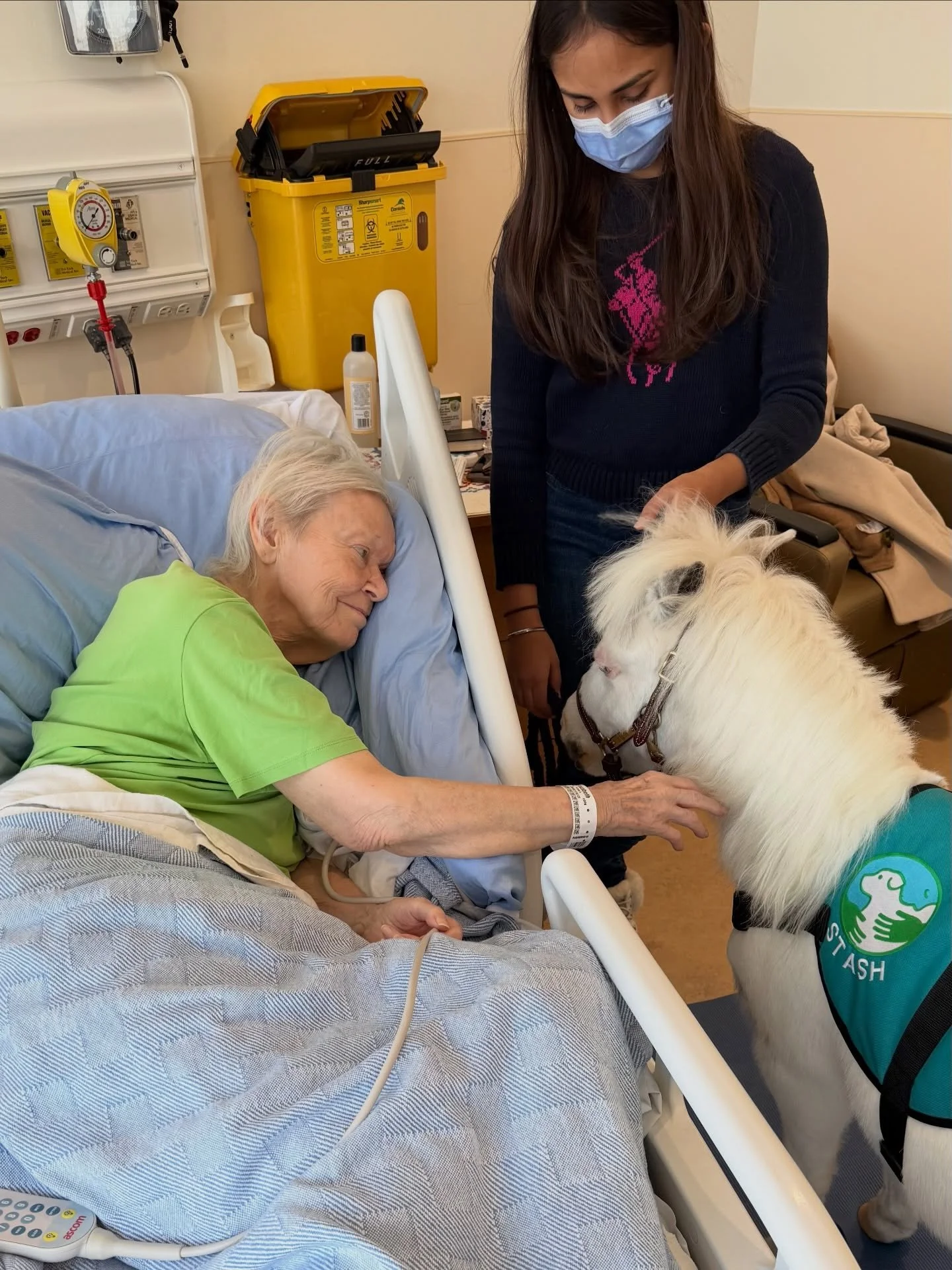 On Saturday I visited a very special in-patient at the hospital.  I listened quietly and made sure she knew I was right there with her.

She was kind and friendly and had a beautiful smile. We joked that we share the same eye colour and mane colour! 