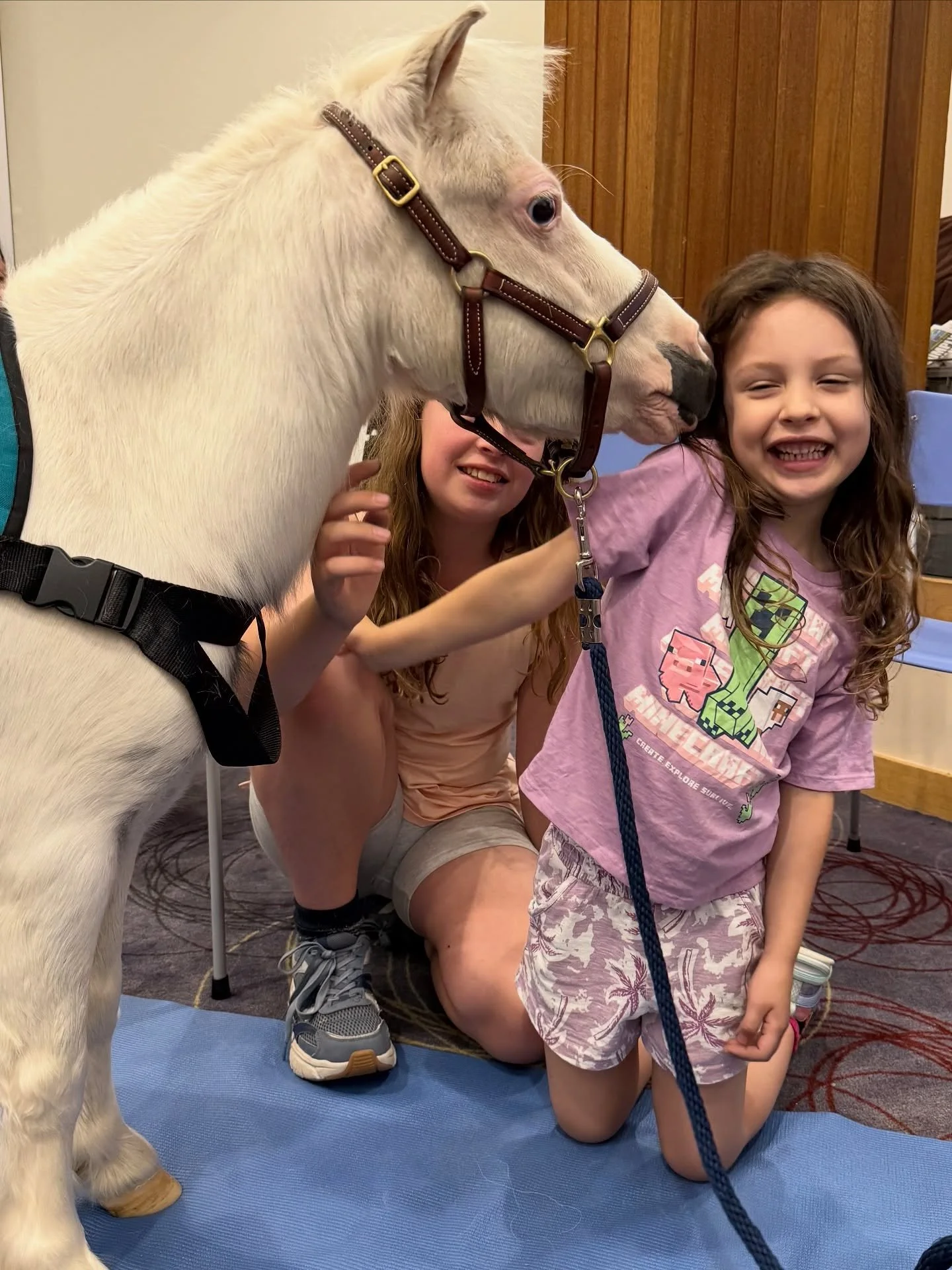 Boop!

Sometimes the best moments aren&rsquo;t big hugs - they are little boops! I gave my new friend the gentlest nose boop, and look at that smile!  A boop is my quiet way of sharing happiness, comfort, and connection. I may be a mini horse, but wh