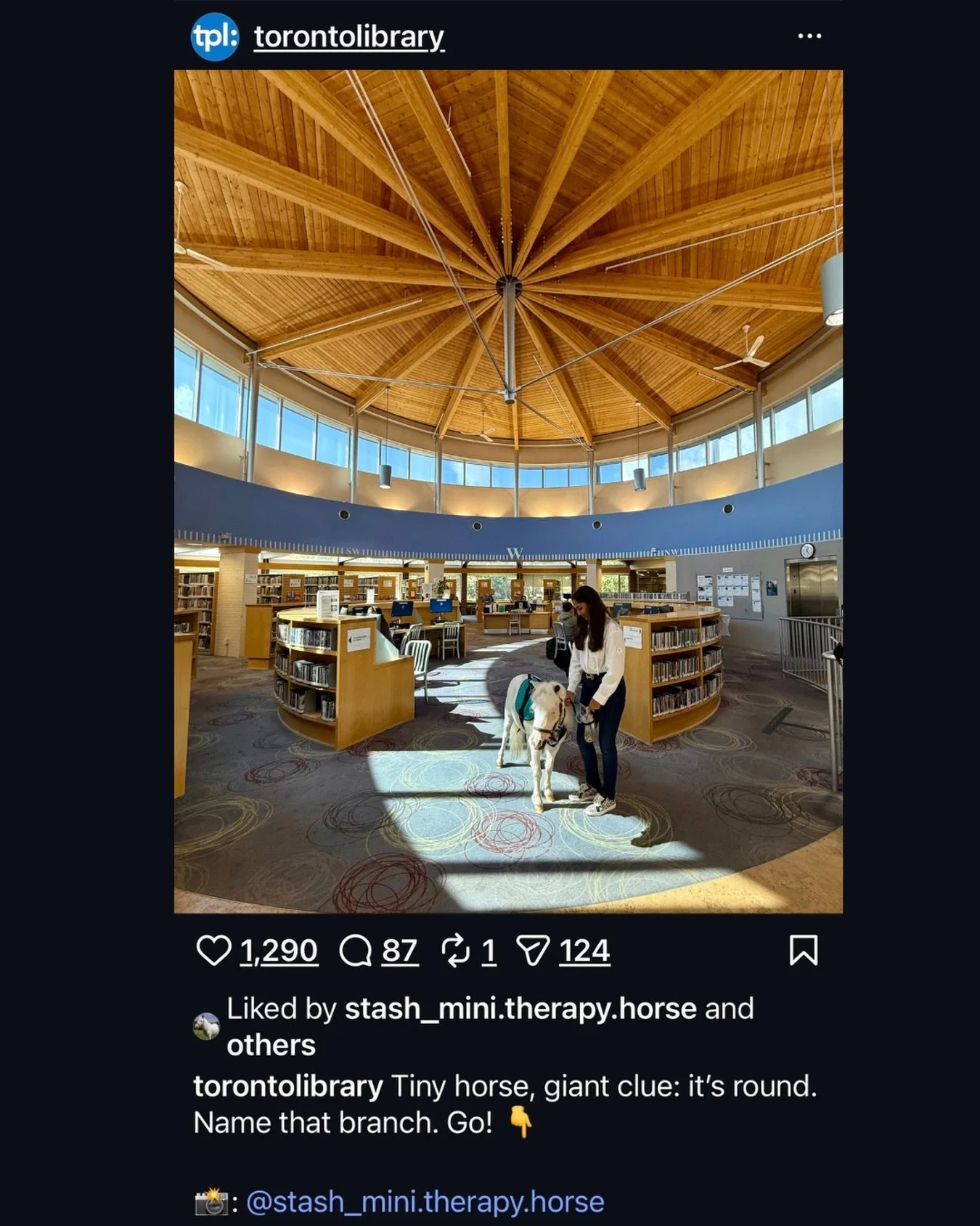 Toronto Public Library, you are something really special. A place where everyone is welcome, curiosity is encouraged, and every corner feels like the start of a new journey.

Thank you for letting a tiny horse wander through a space so full of imagin