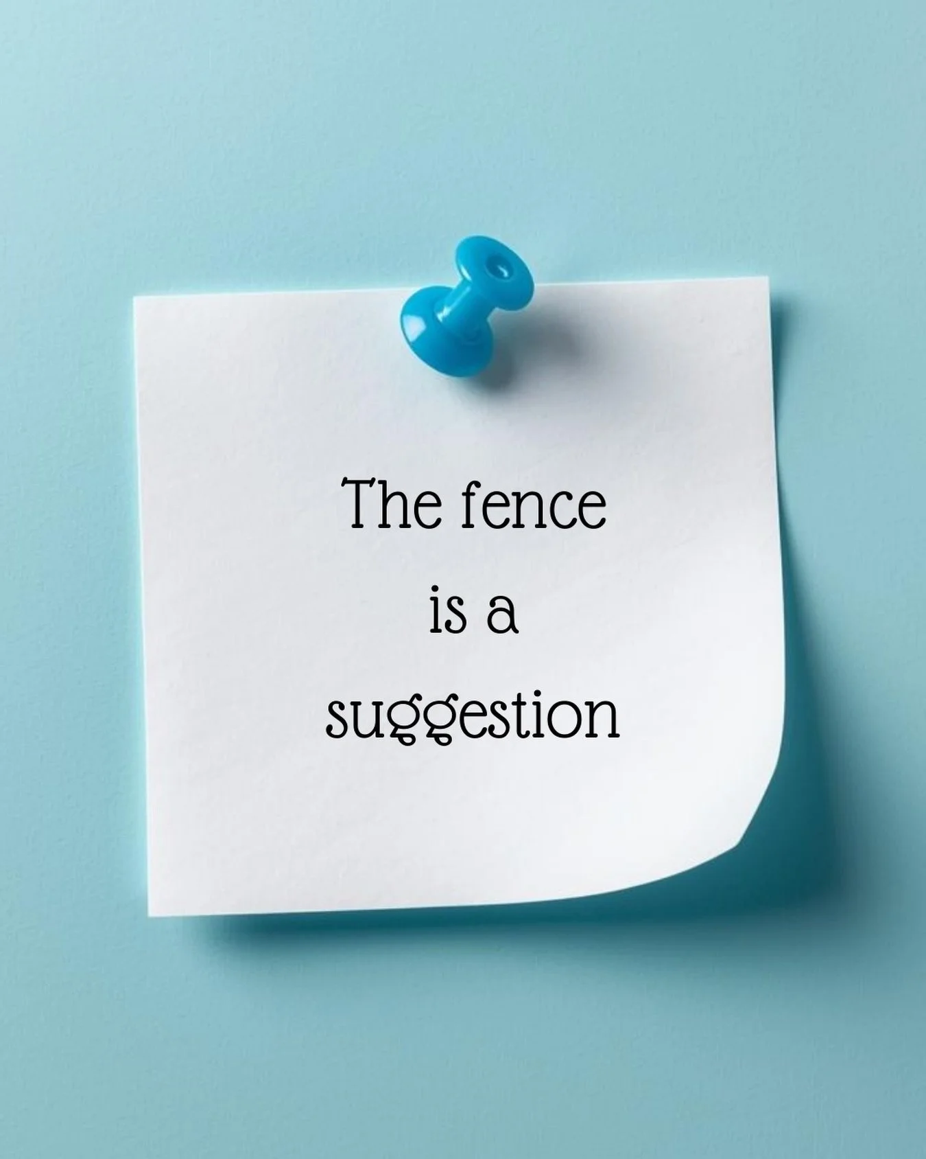 Lately I&rsquo;ve had a lot of time to think.  Cold days mean extra barn time. 

I&rsquo;ve been staring at fences. Thinking about them.

I&rsquo;ve decided they&rsquo;re mostly just&hellip; suggestions.

Not everything that looks like a boundary is 