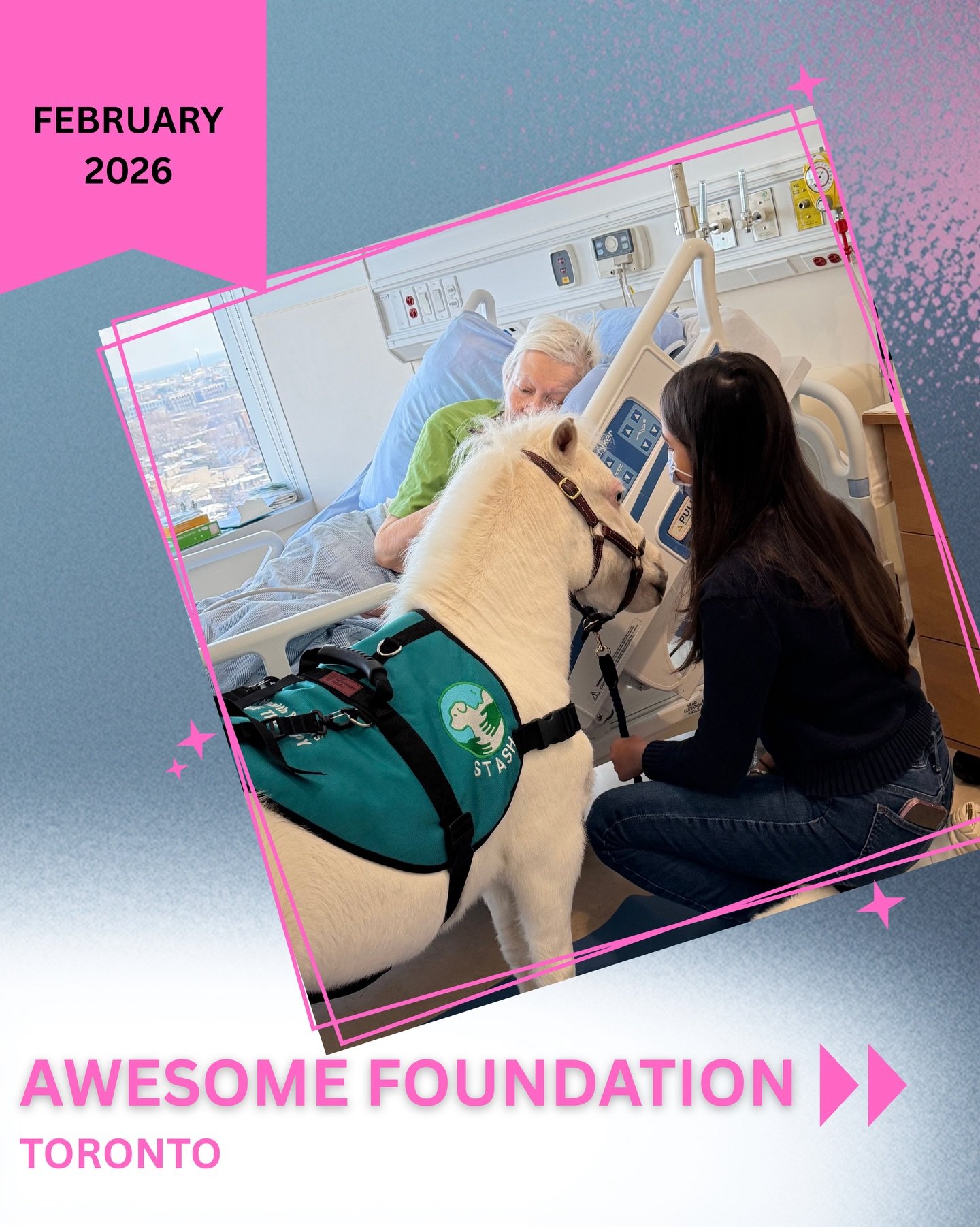 I am very honoured to share that I have been recognized by the "Awesome Foundation" Toronto chapter for February 2026 🩵

In 2009, a group of friends decided the world needed more bold, joyful, community centered ideas and instead of just t