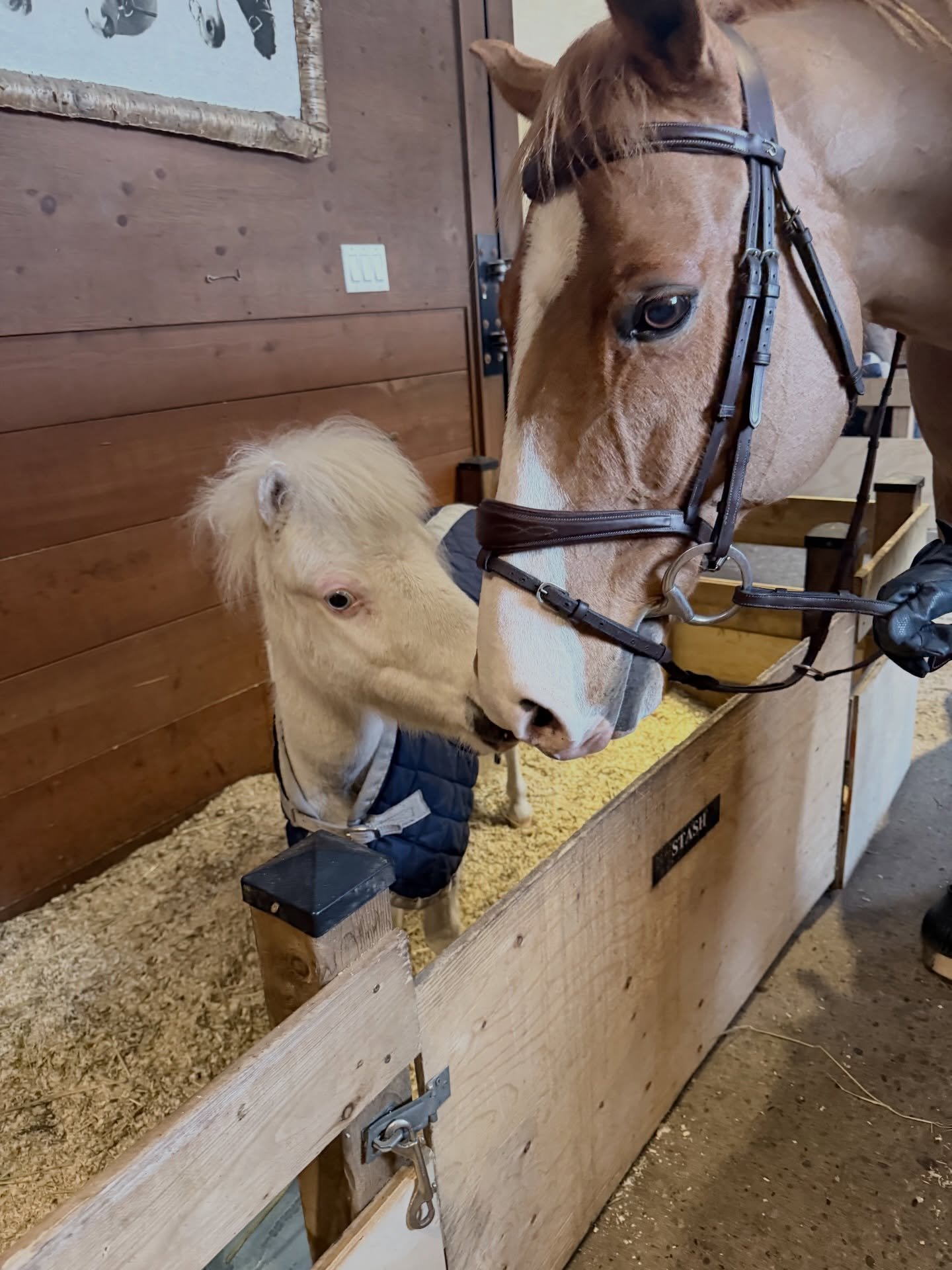 If you are my friend, consider this your Valentine.

Today is for the friend who sits quietly beside you, who remembers your favorite snack, who shows up, even on the cold barn days.

Friendship is my favorite love story. No grand gestures required. 