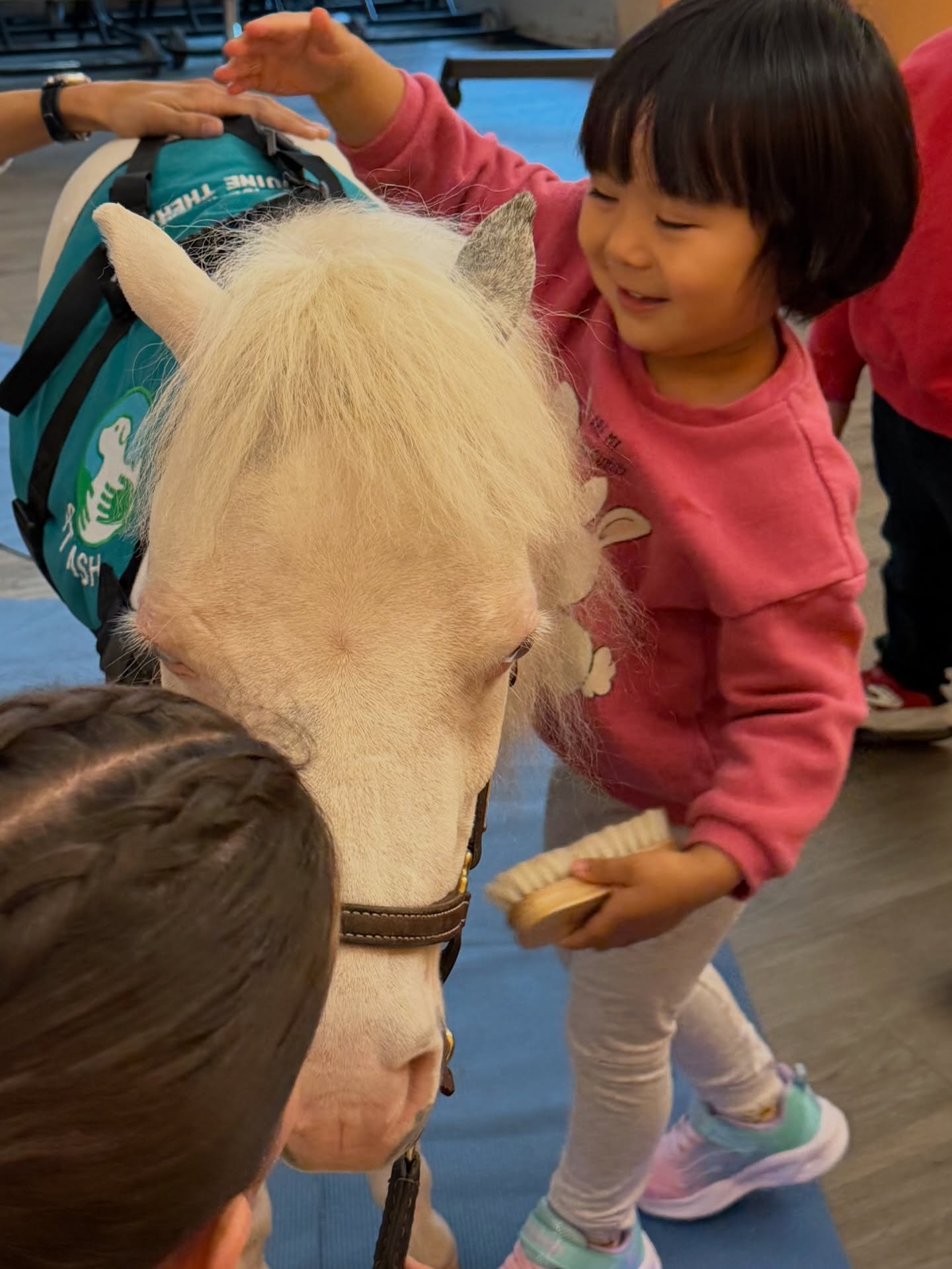I was just thinking about how much I love the colour pink.

There isn&rsquo;t a lot of it inside a barn or in a paddock. Mostly we have warm browns, soft hay gold, weathered wood, green grass, and big blue skies. And I love those colours too. They fe