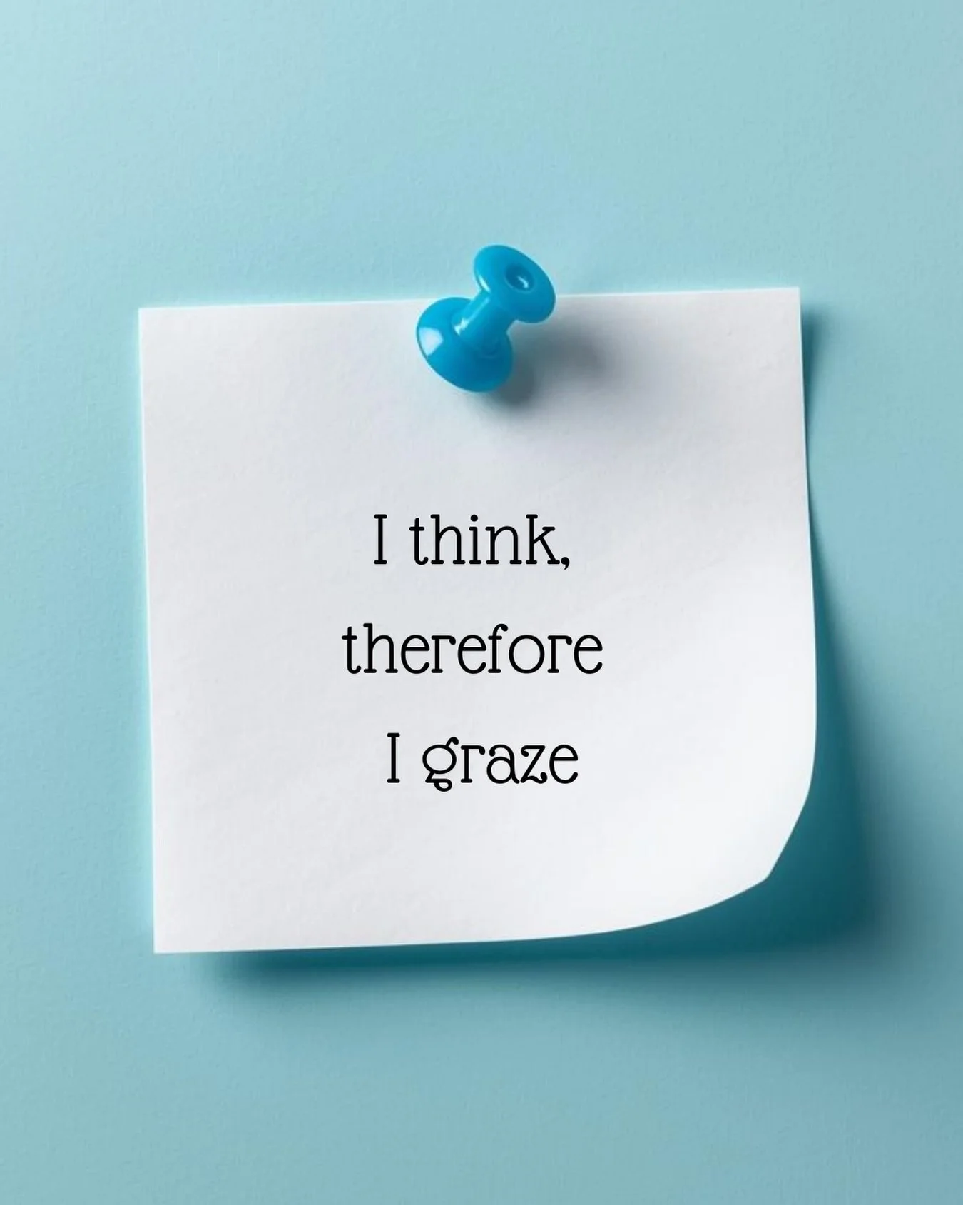 I think therefore I graze. It is a simple philosophy, but I stand by it firmly, preferably on a patch of fresh clover.

Humans spend a lot of time thinking. I can tell because they stare into the distance and forget to bring snacks. I, on the other h
