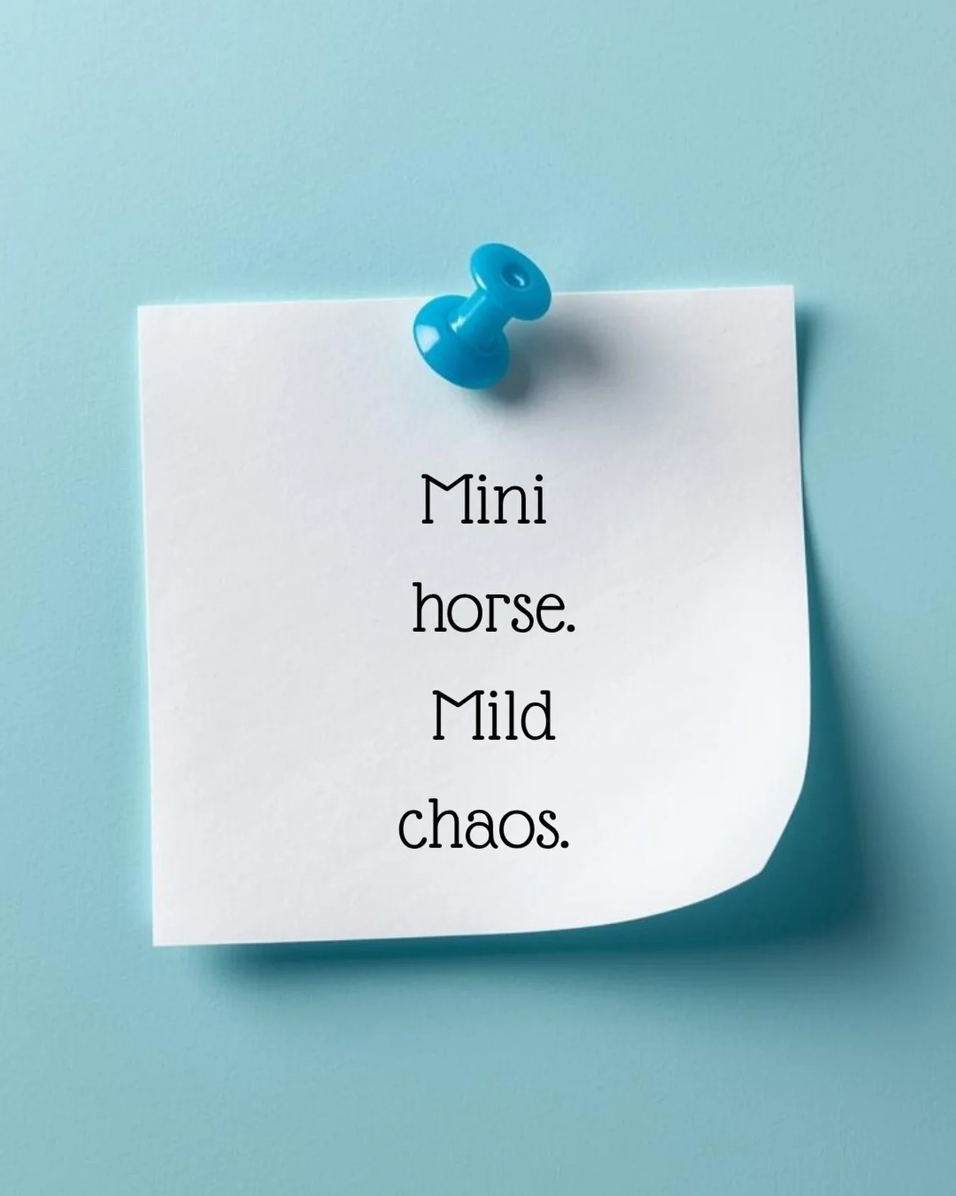 Teamwork makes the neigh work. 

I visited a busy hospital today, and luckily the amazing security team helped me navigate elevators, hallways, doors, and all the very important places a tiny horse needs to go.

I brought the smiles. They handled the