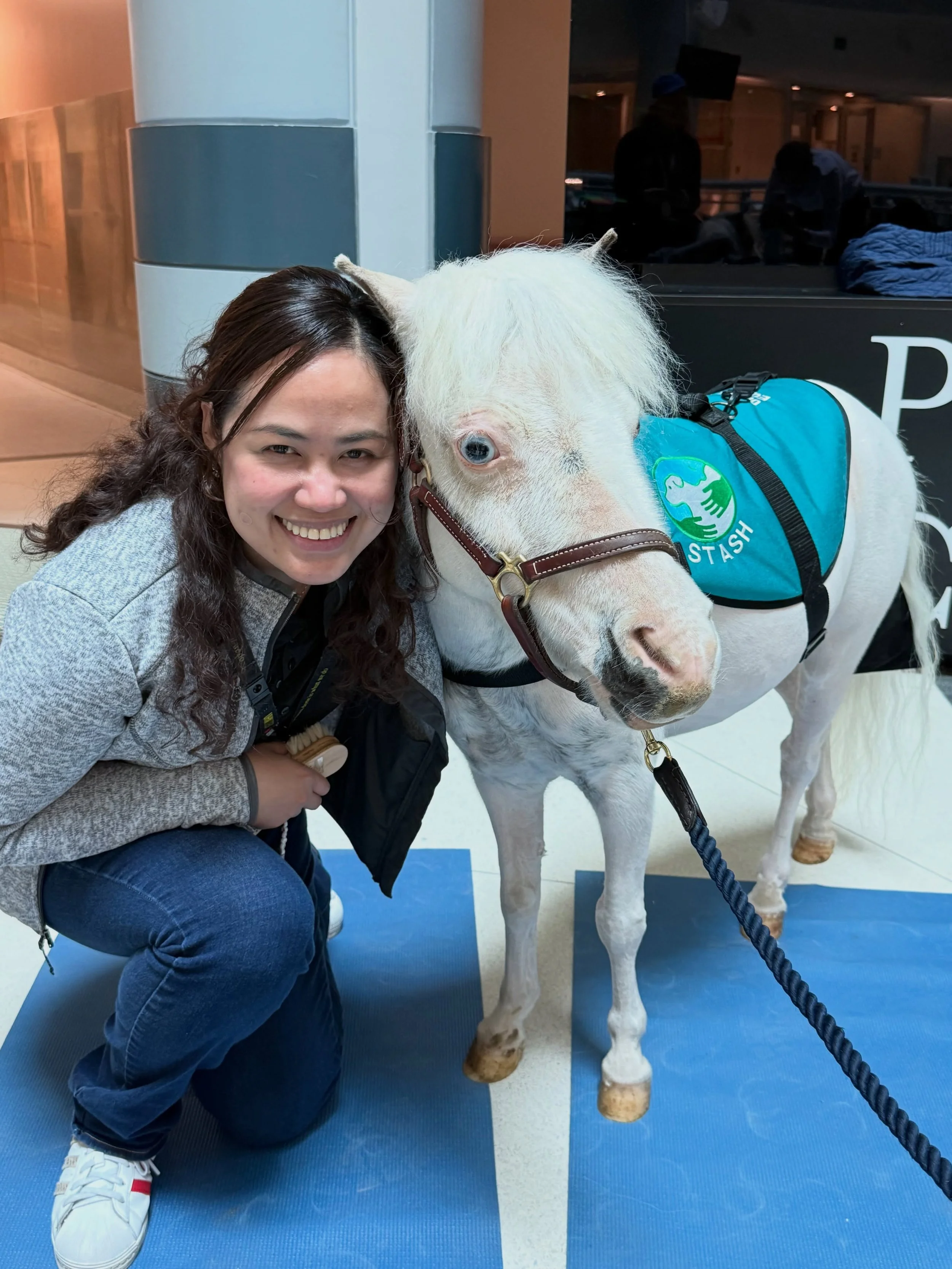 Today I visited Princess Margaret Hospital, and my horse heart is full of gratitude. 

I am extremely grateful for everything this hospital and its herd does every day to help patients and families. From the medical staff, research and clinical assis