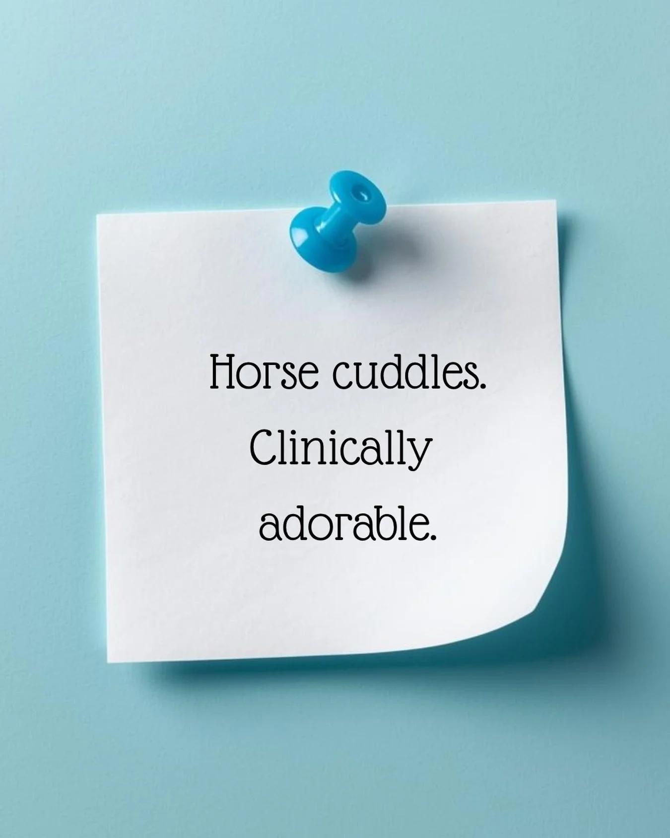 I may be small, but I take my wellness work very seriously: soft nose boops, gentle snuggles, and making hardworking hospital humans smile.

Clinically adorable? I&rsquo;ll accept the diagnosis. 

🩵Stash and @onehealthpartners 

#animalassistedthera
