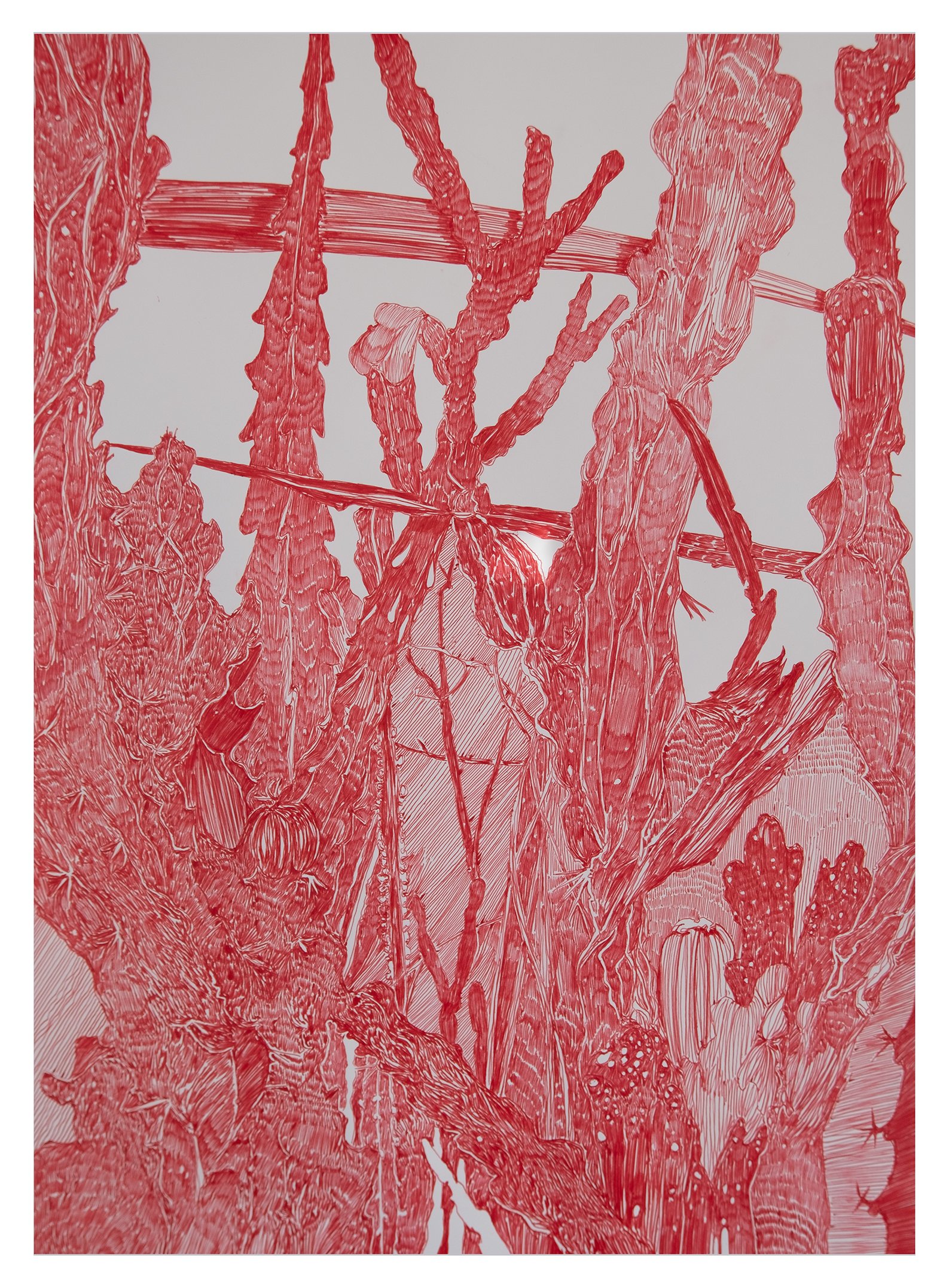 “Cacti II” (2025)
Green ballpoint pen on pure cotton hot pressed Arches watercolor paper (300g/m2) _____ Dim.: 56x76 cm