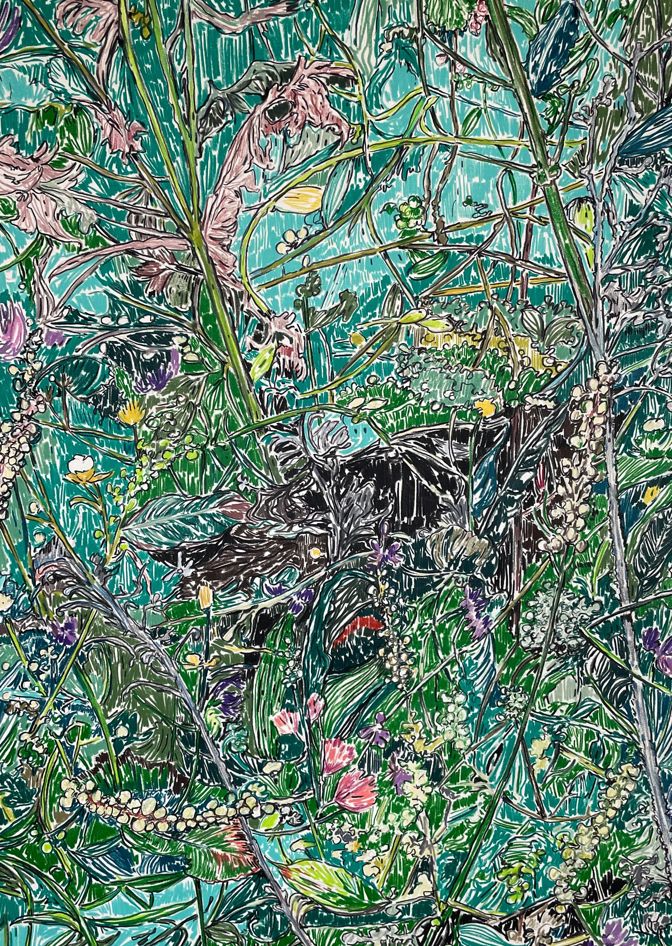 “Depiction of a garden in Weil am Rhein during summer (I)” (2023)
Permanent colored pencil on cold pressed Velin Arches paper (160g/m2)
Dim.: 50x65cm