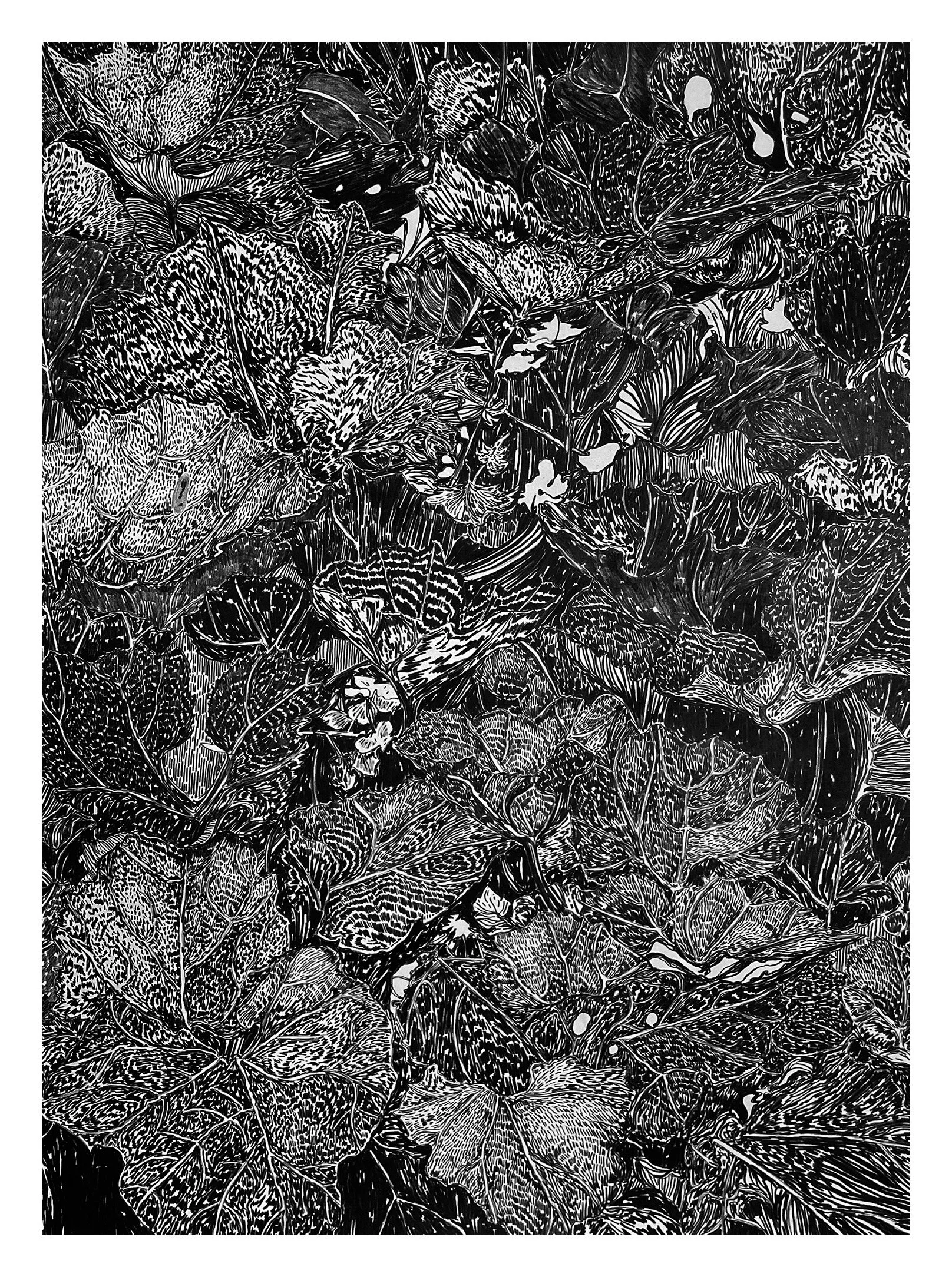 “Finlandia Hall” (2024) Black permanent colored pencil on pure cotton hot pressed Arches watercolor paper (300g/m2) Dim.: 56x76cm