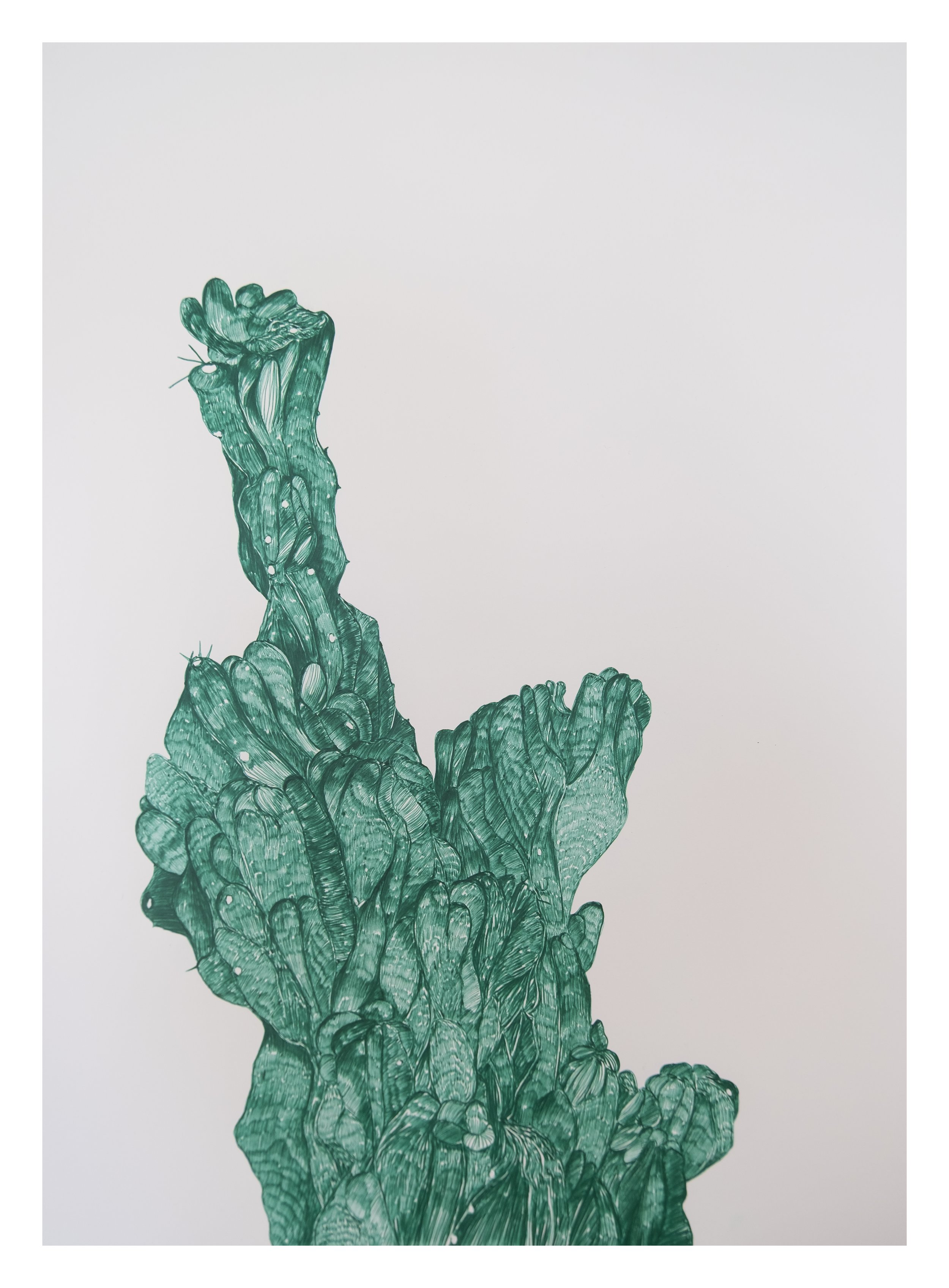 “Cacti VI” (2025)
Green ballpoint pen on pure cotton hot pressed Arches watercolor paper (300g/m2) _____ Dim.: 56x76 cm