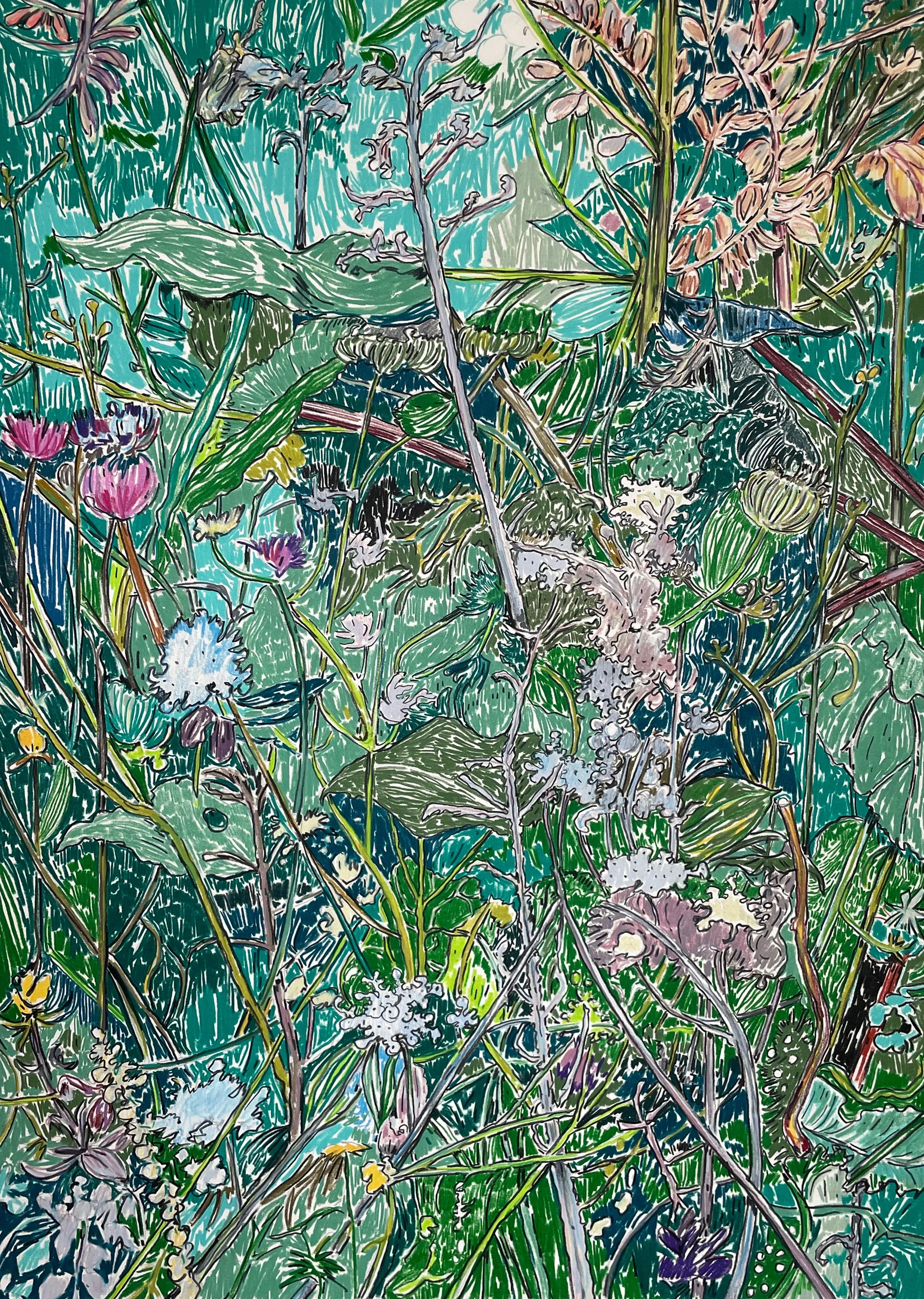 “Depiction of a garden in Weil am Rhein during summer (II)” (2023)
Permanent colored pencil on cold pressed Velin Arches paper (160g/m2)
Dim.: 50x65cm