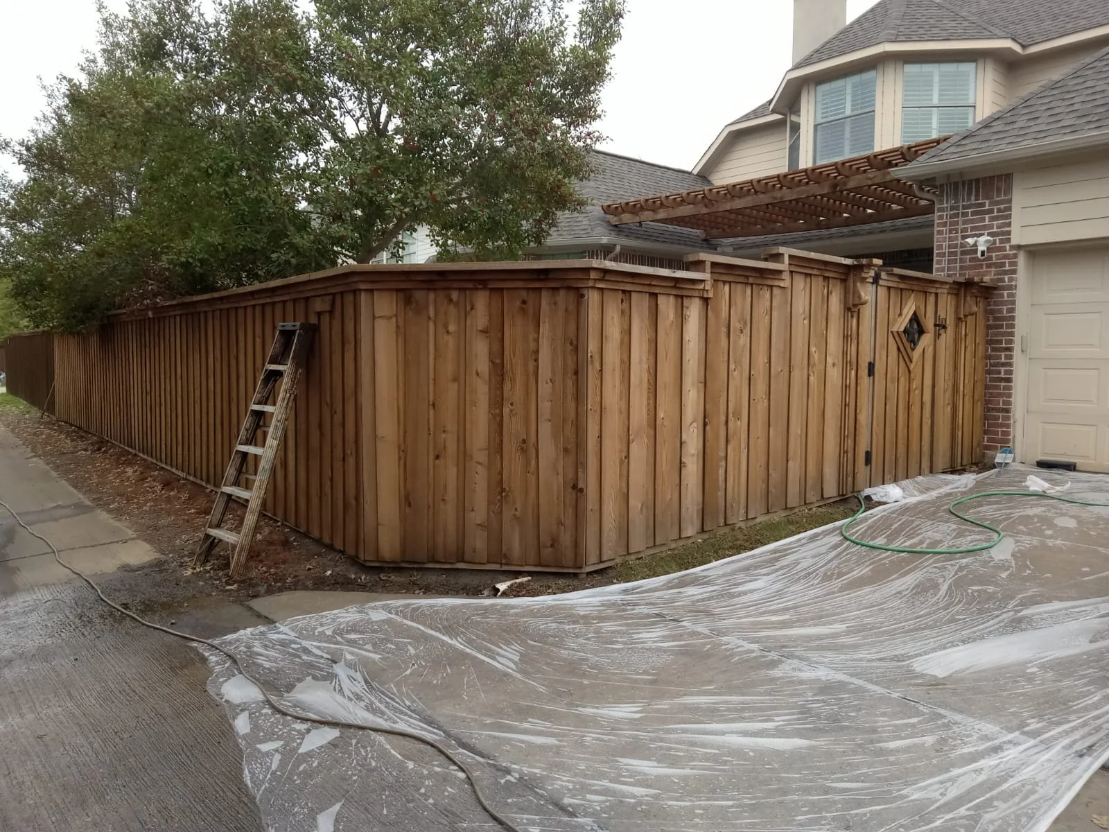 WhatsApp Image 2025-03-23 at 7.51.51 PM (2).jpeg