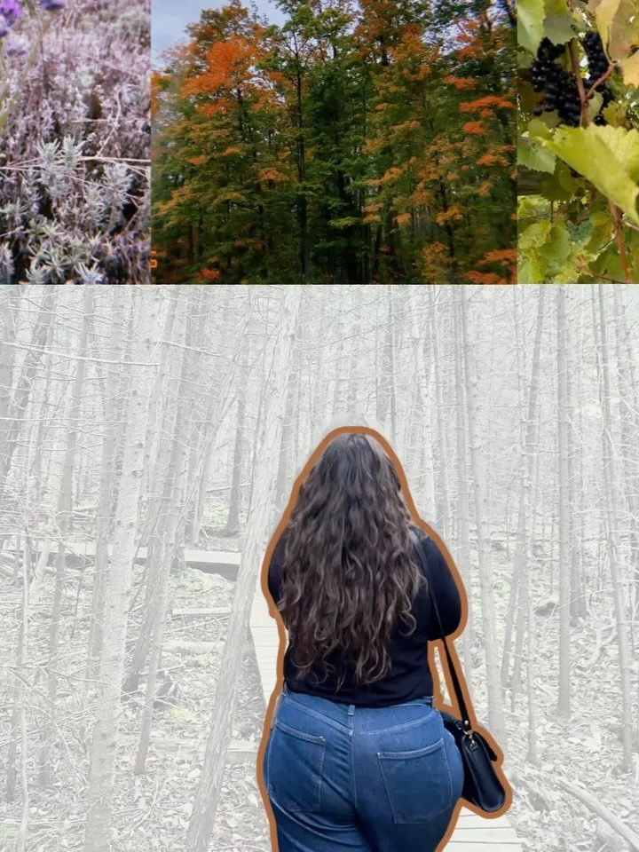 🍂 fall &bull; fears of falling &bull; fallen strawberries 🍂