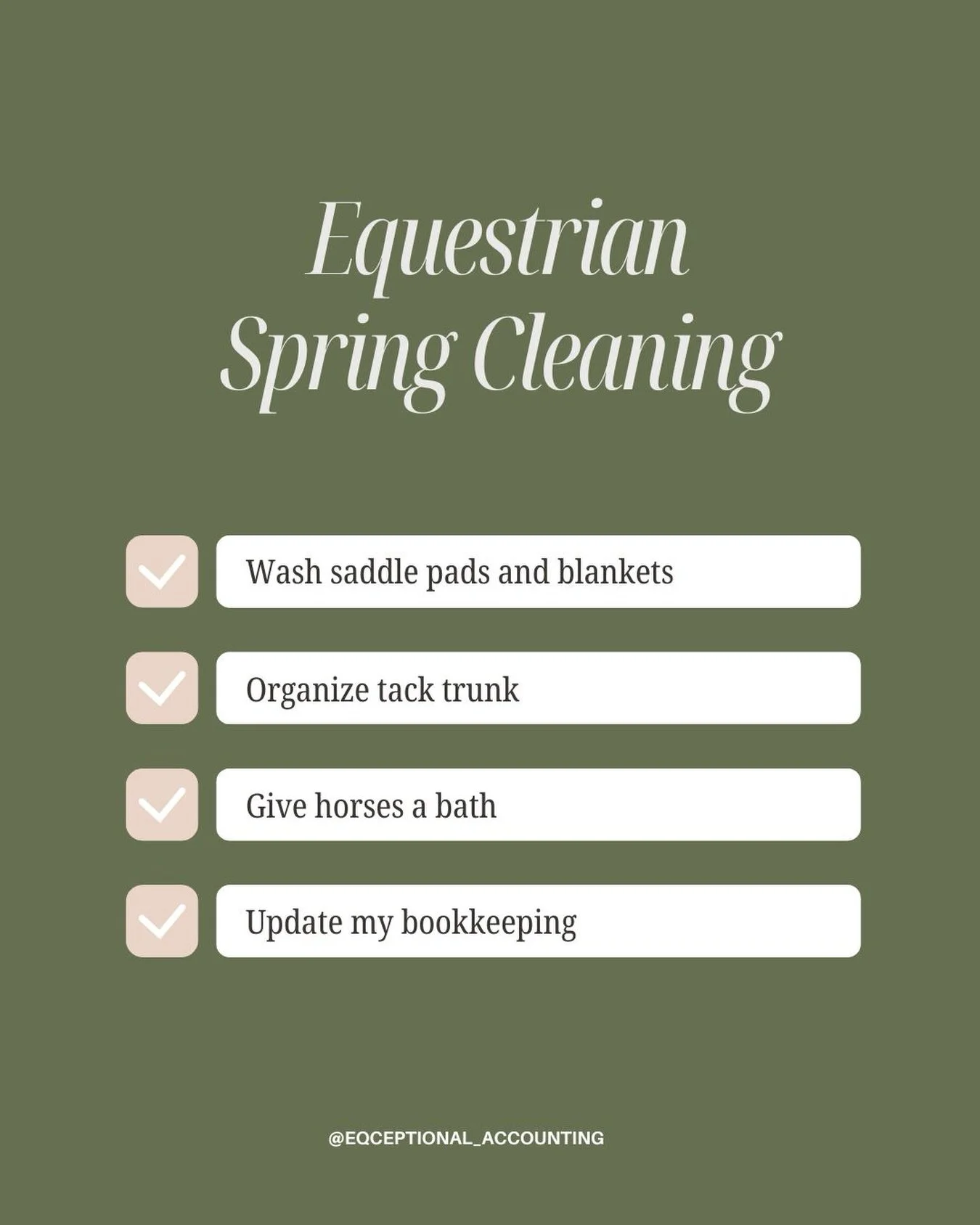Spring cleaning, but make it ✨equestrian✨

I managed to bathe one of my two ponies last week while it was 90 out. Then we woke up to 40 degree weather this week which killed my spring cleaning vibe. Next week I&rsquo;ll bathe my grey girl and DEEP cl