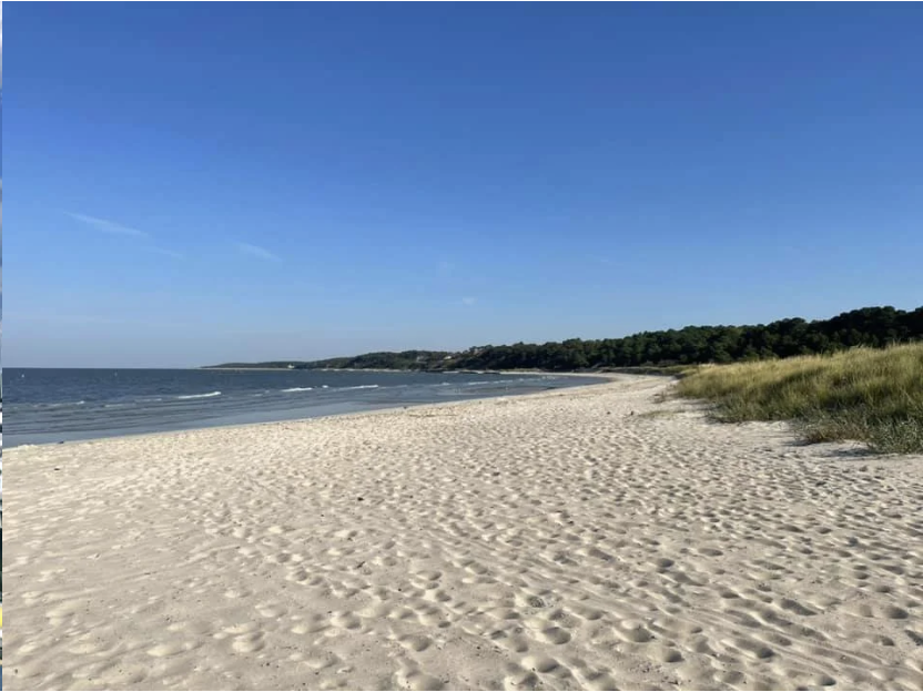 Screenshot 2026-04-04 at 2.28.26 PM.png