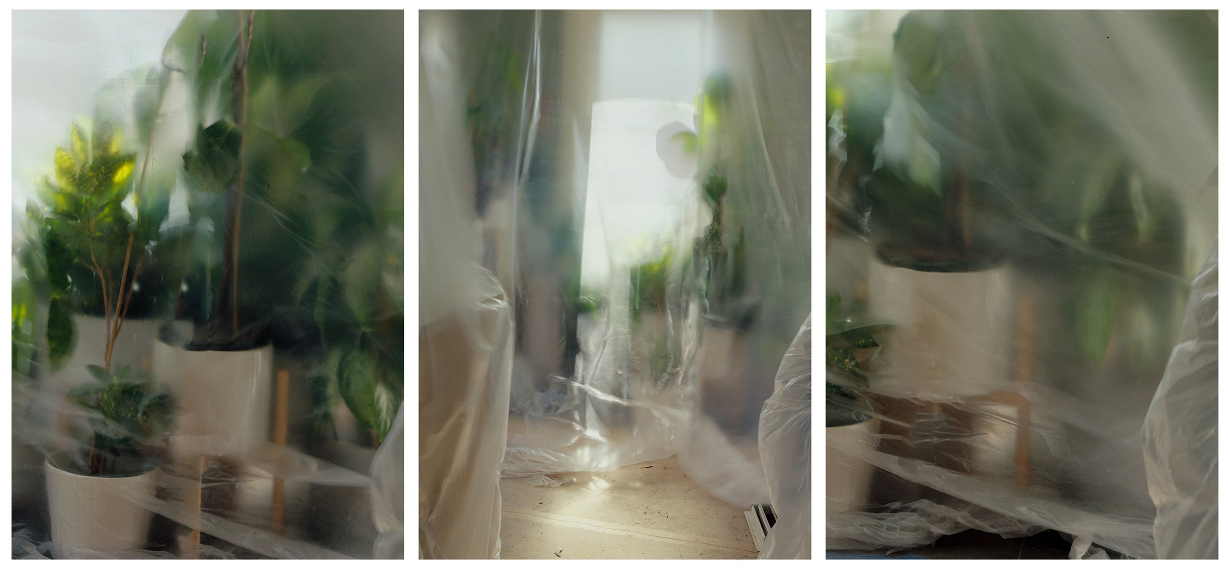 GREENS_COLLAGE.jpg
