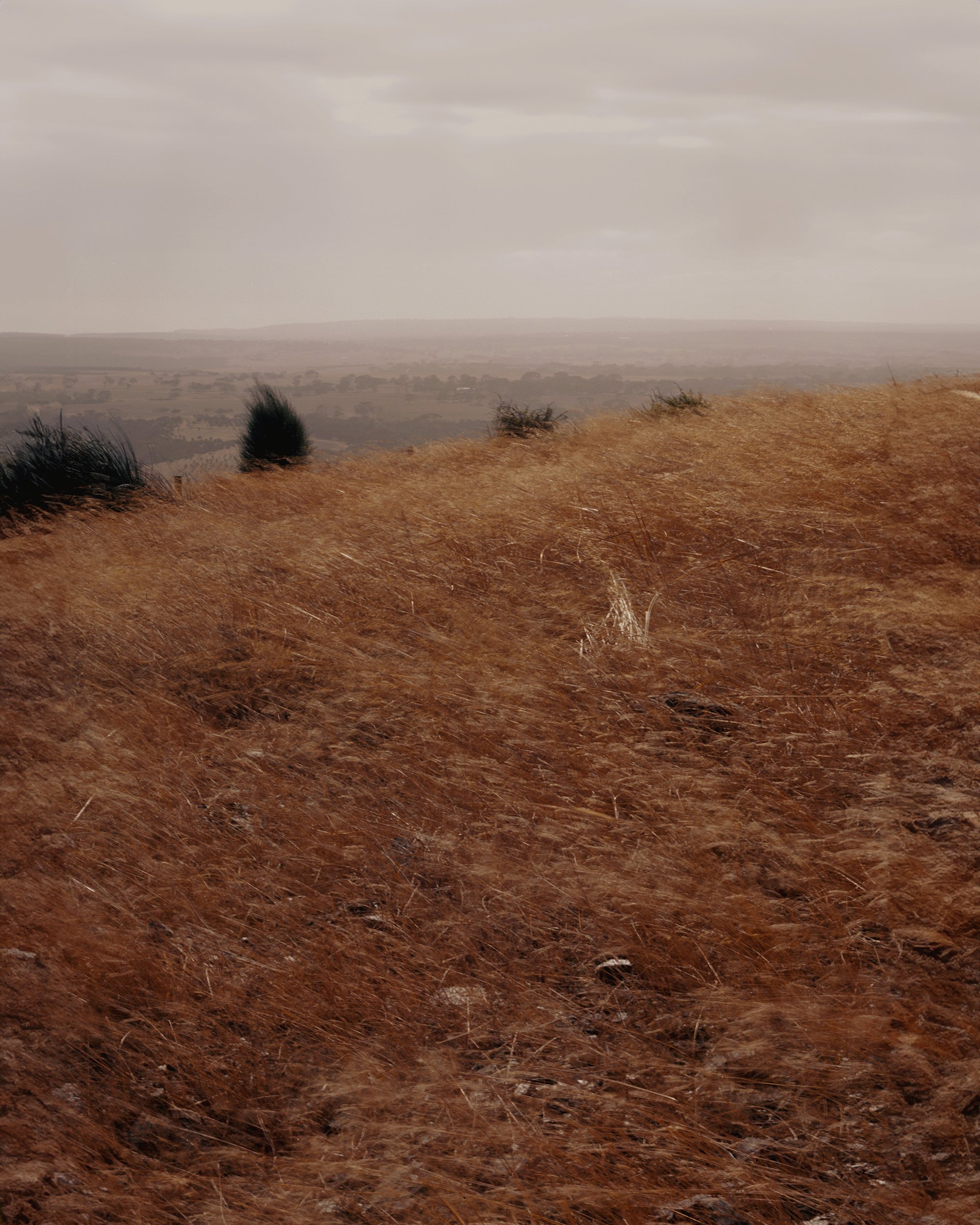 SH9977_8.jpg