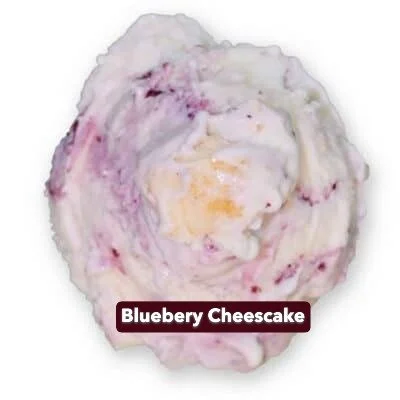 BlueberryCheesecake.jpg