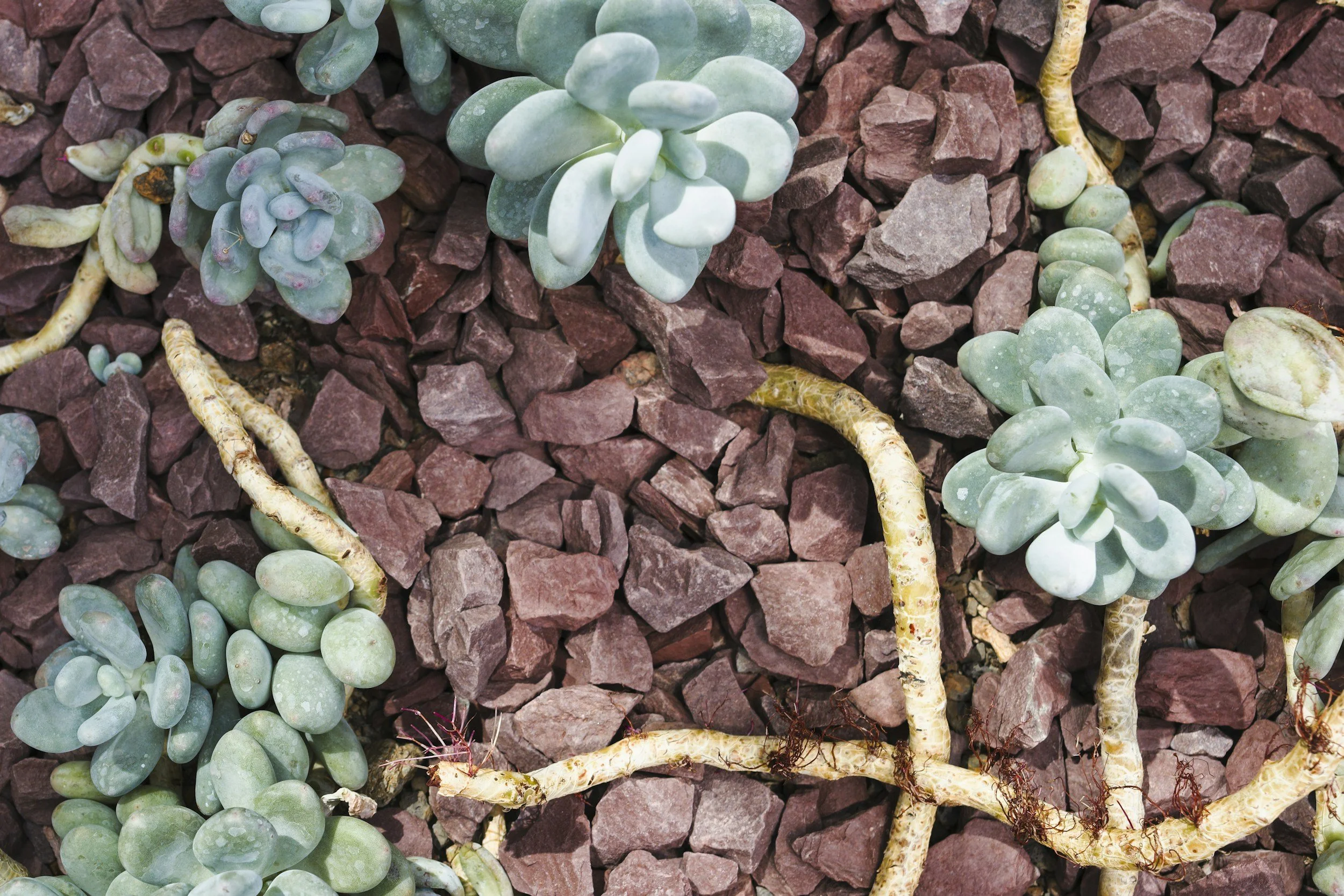unsplash-image-nUO6ORiNGcI.jpg