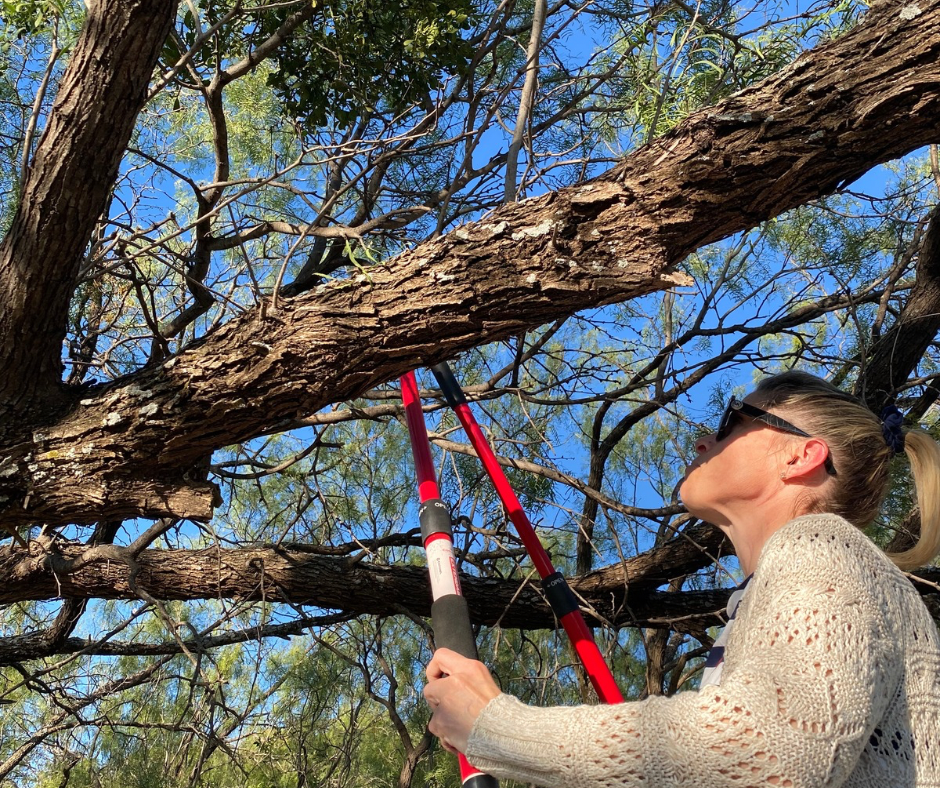 Blue Artsy Closed Due To Weather Facebook Post(1).png