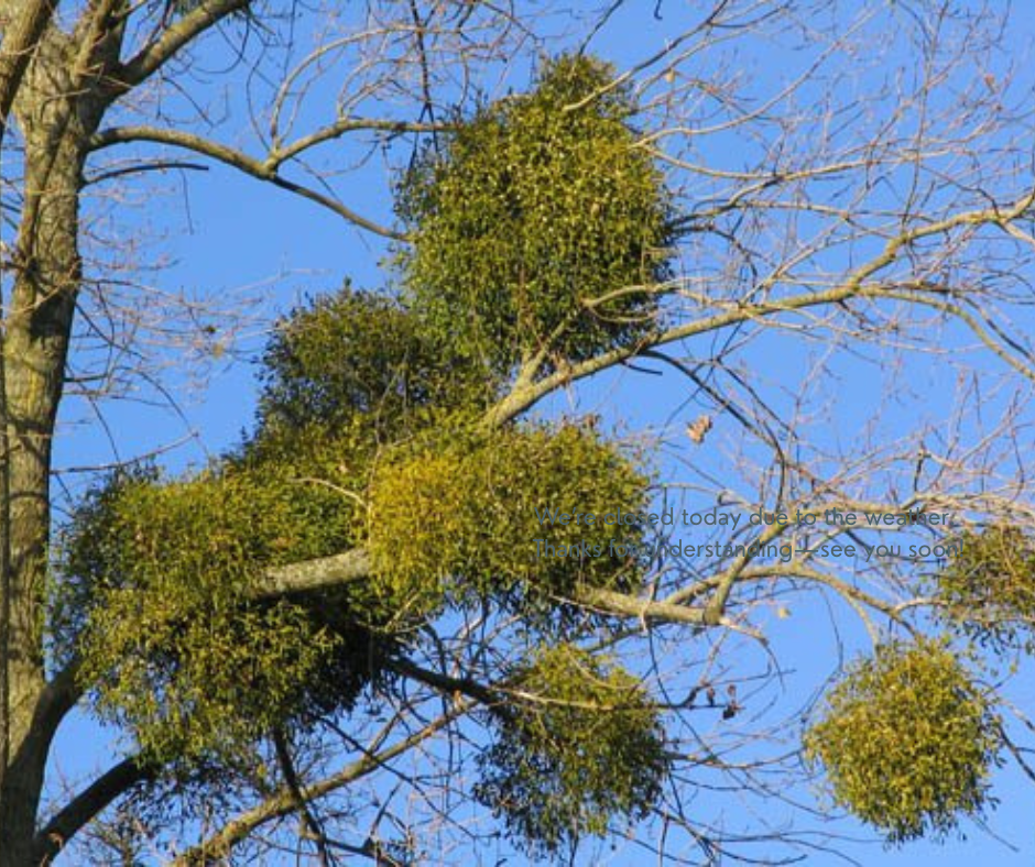 Blue Artsy Closed Due To Weather Facebook Post.png