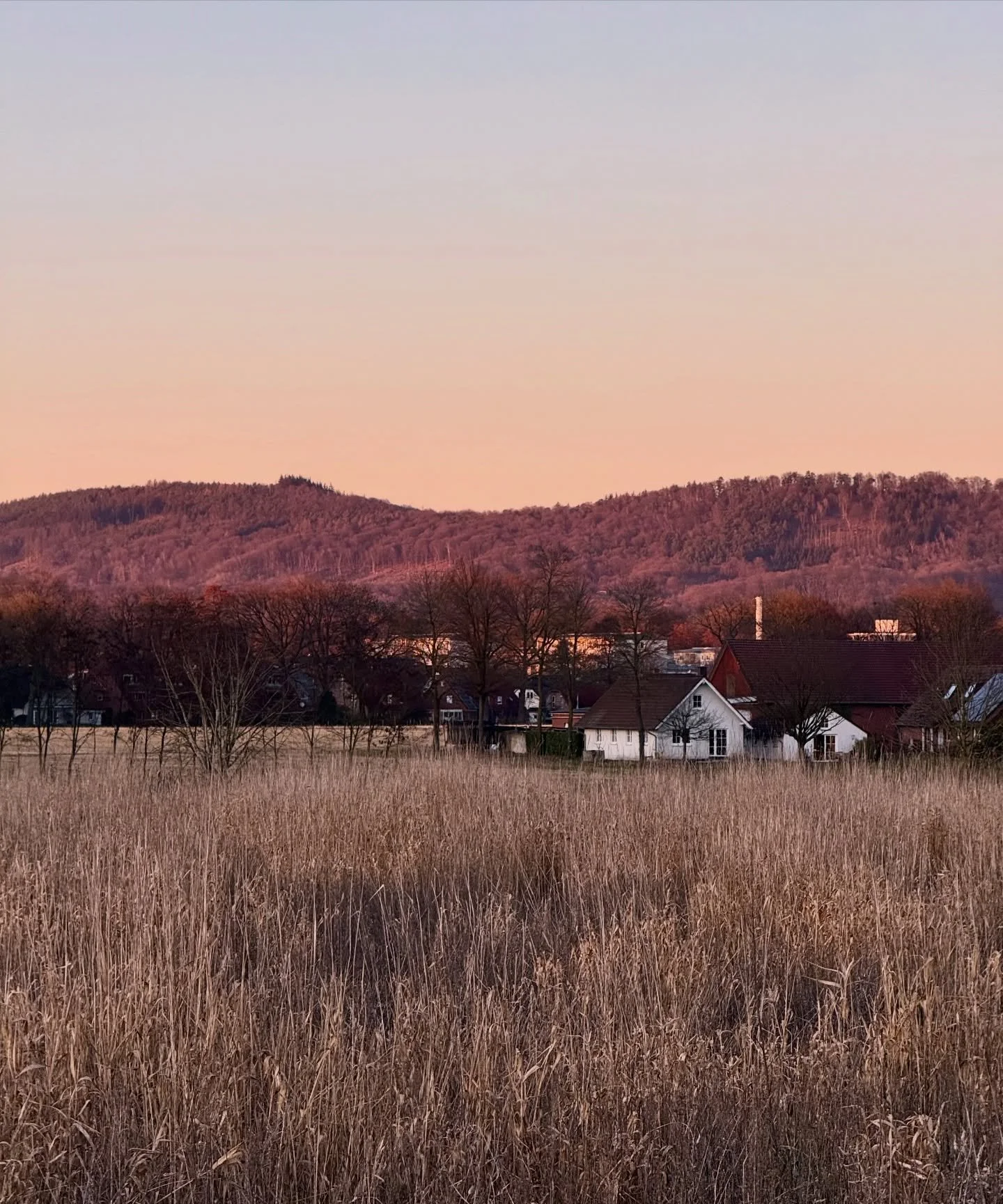 Frische Luft, warme Sonnenstrahlen und die ersten bunten Bl&uuml;ten&hellip; 🌷🌸🥰☀️ So sch&ouml;n f&uuml;hlt sich der Fr&uuml;hlingsanfang rund um unser Atelier in Steinhagen an 😊