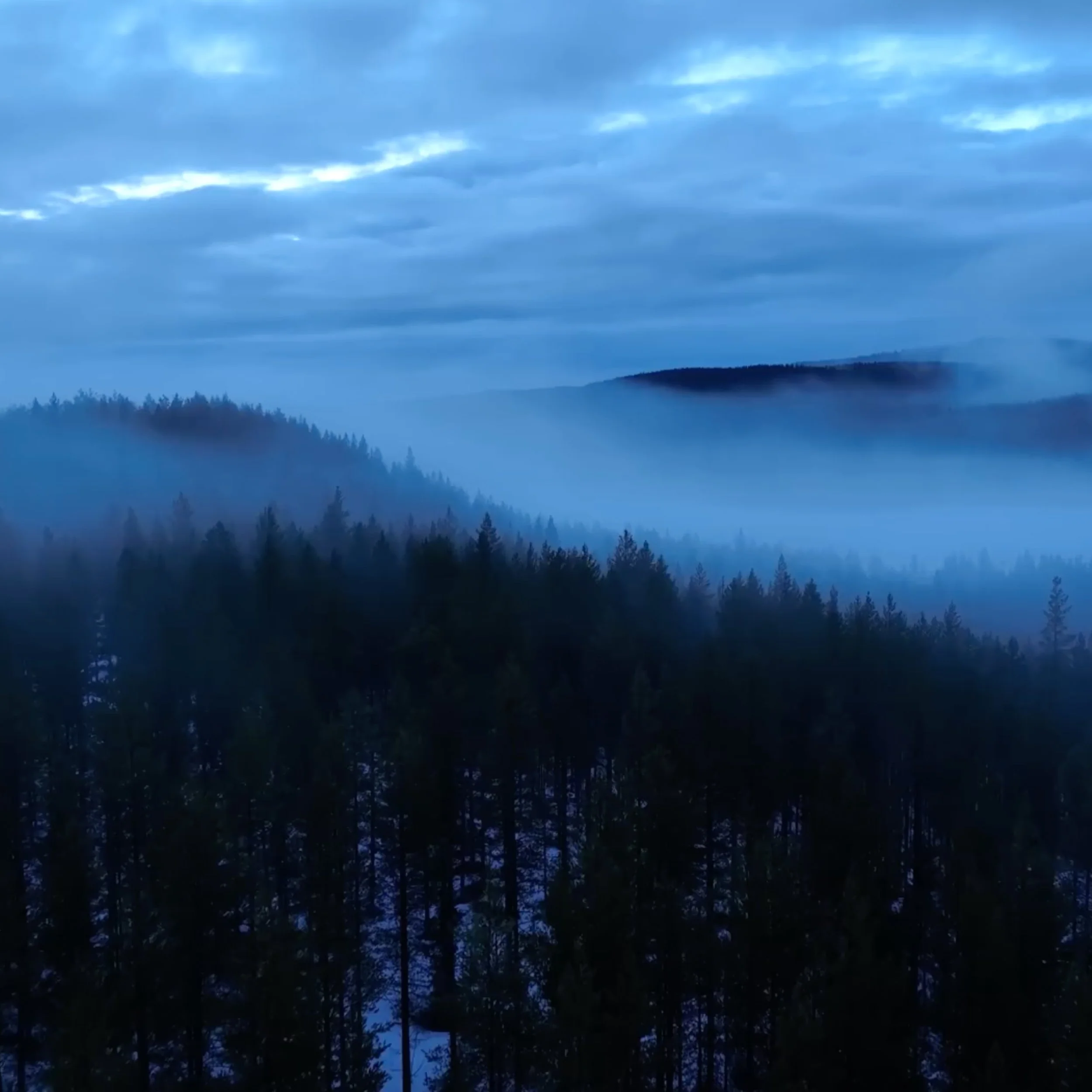 Nebel über einem dichten Wald aus Nadelbäumen, blauer Himmel mit Wolken, Berge im Hintergrund, Winterlandschaft