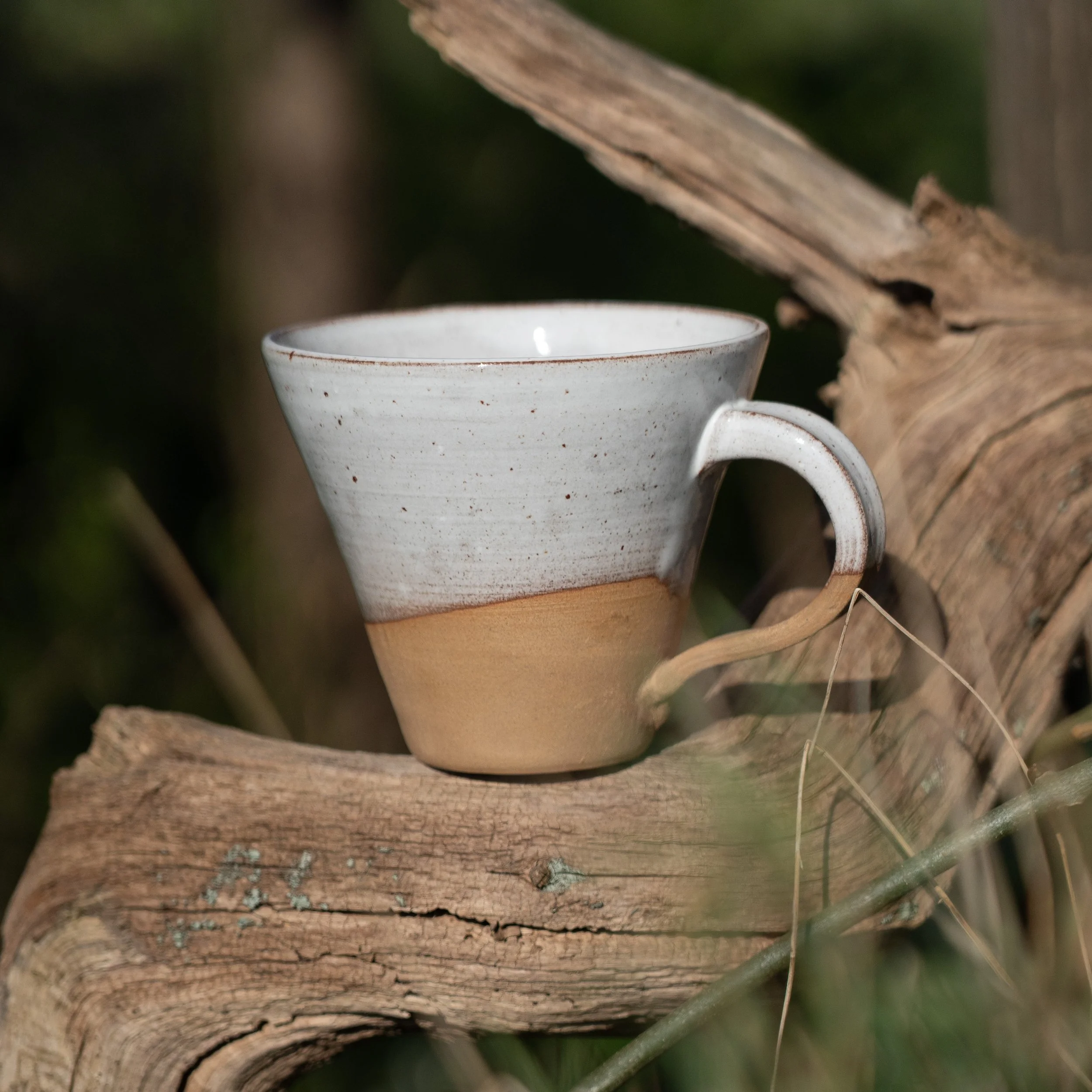 DSC06208 Kopie_quadrat_klein.jpg