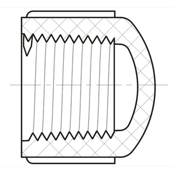 Cap (FIPT).jpg