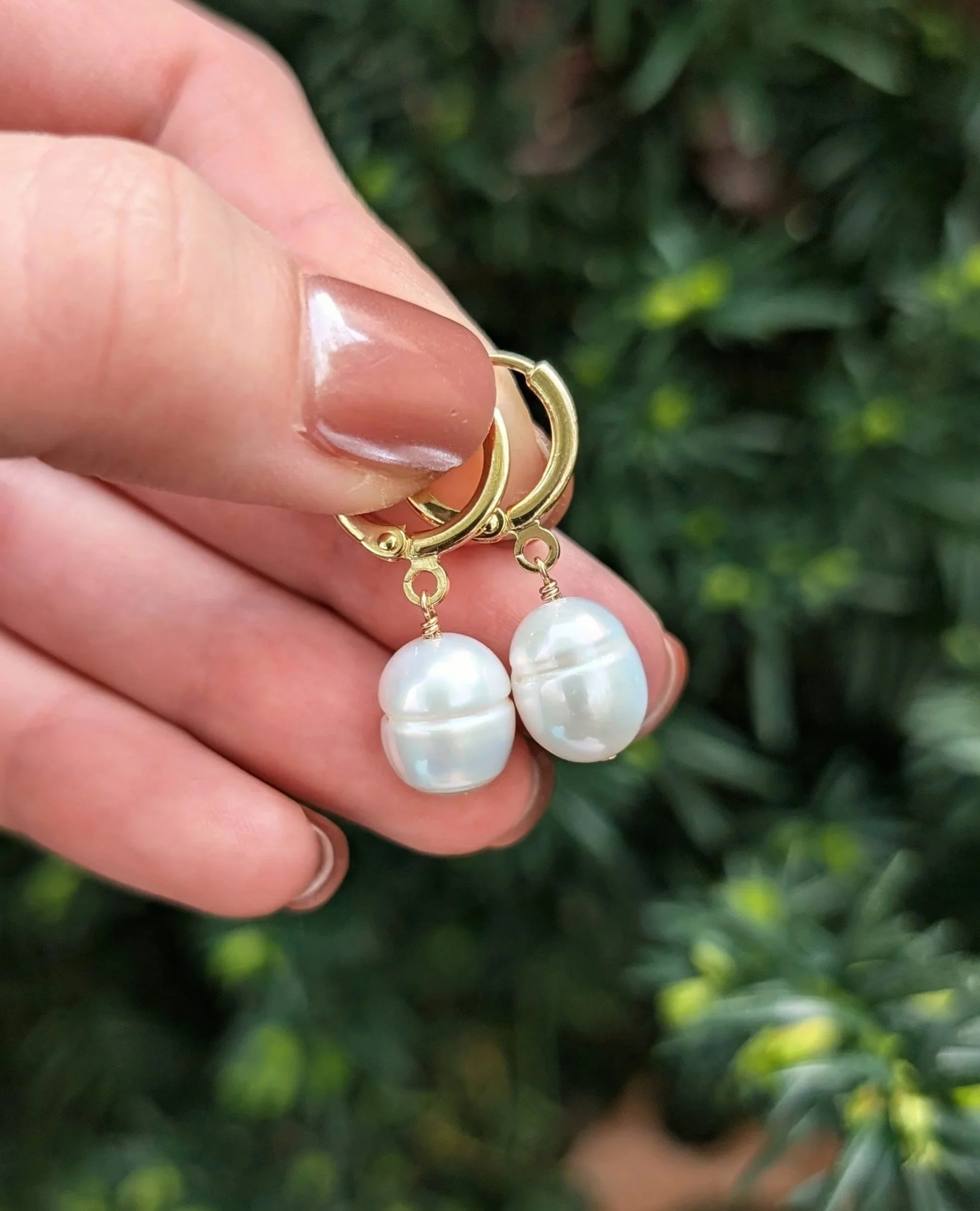 Freshwater Pearl Earrings in 14k Gold Plated