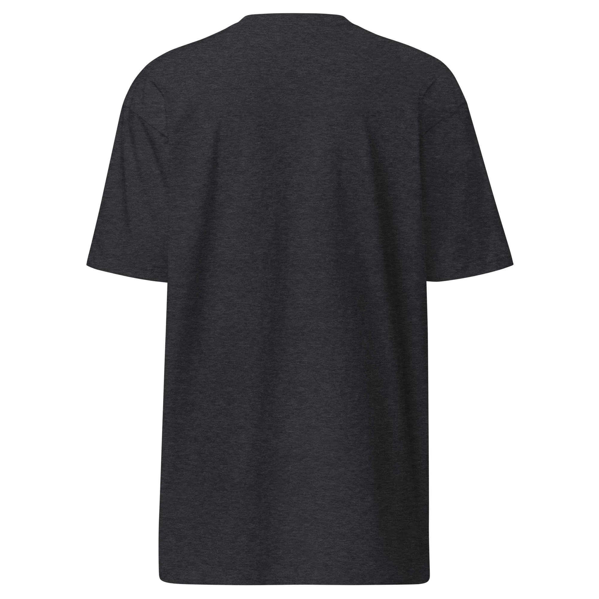 mens-premium-heavyweight-tee-charcoal-heather-back-68b1f9501188f.jpg