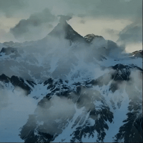 gif (3).gif