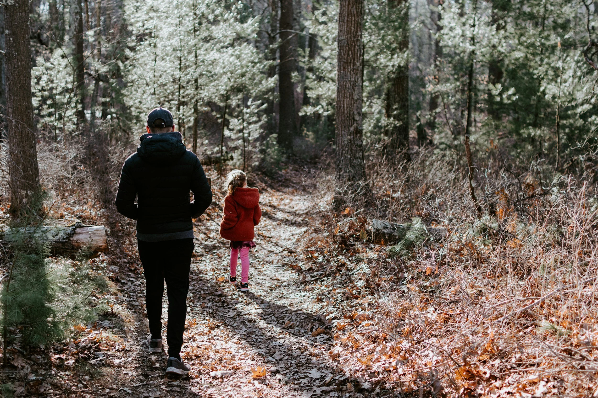 Nature Walk at the Park