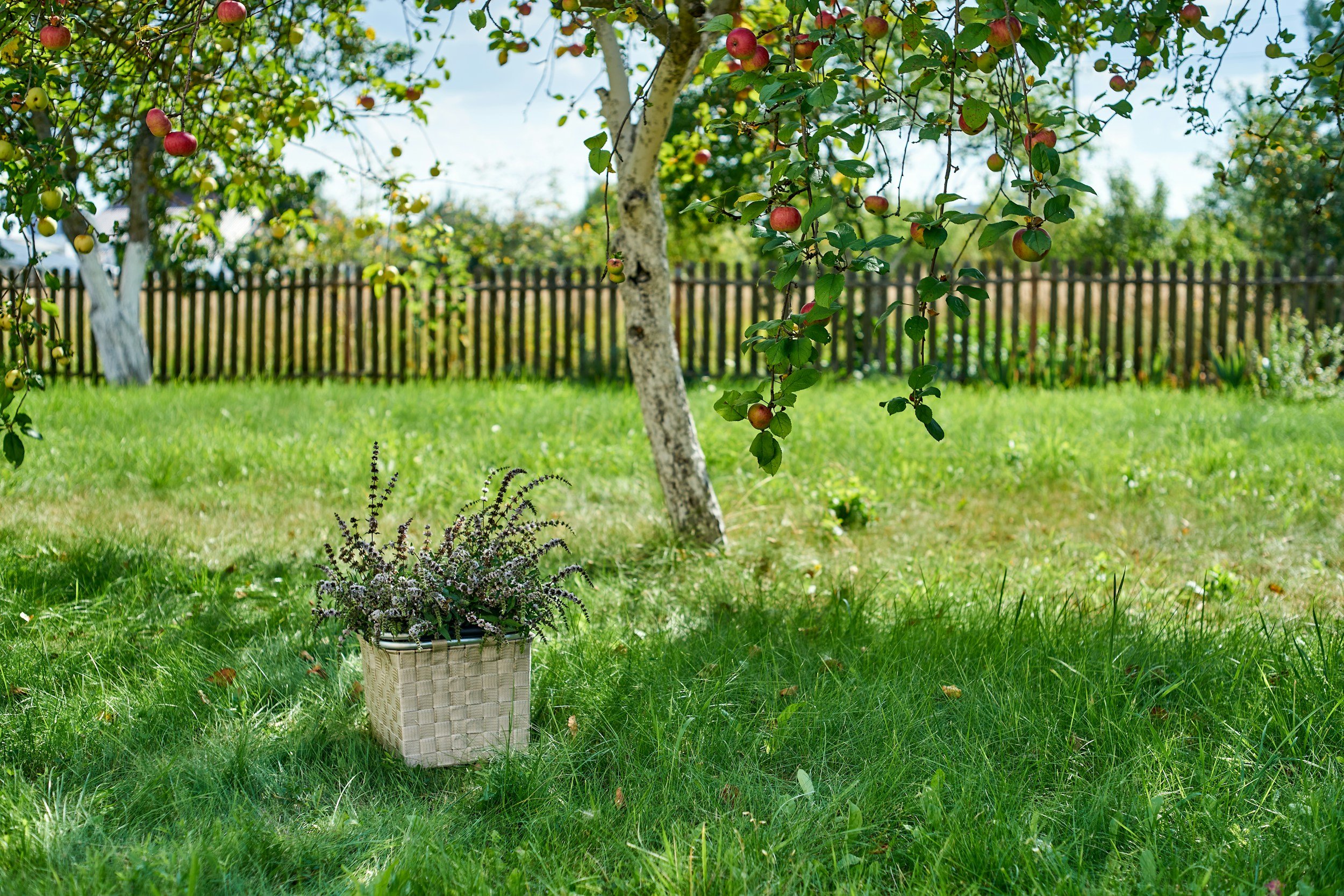 10 Epic Backyard Obstacle Course Ideas for Endless Family Fun