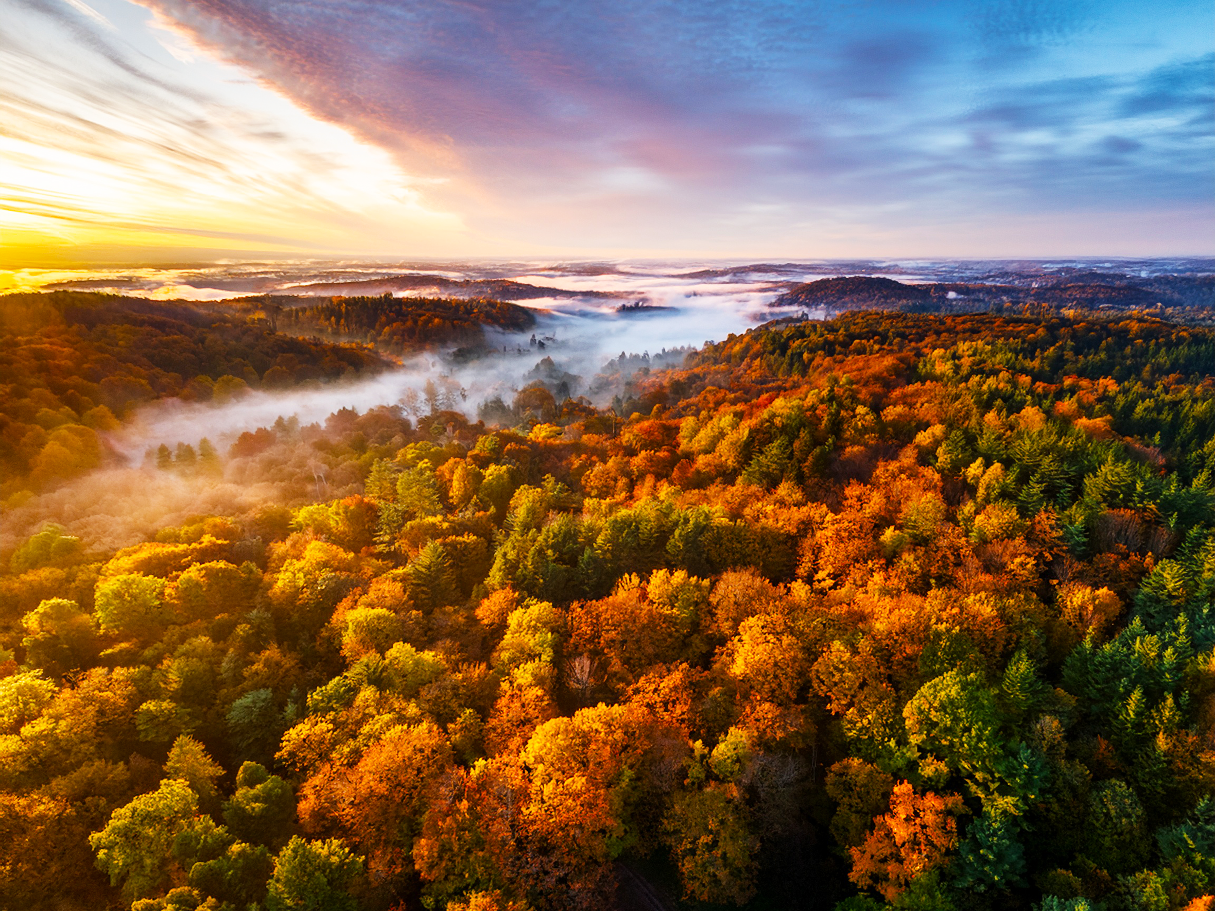Serene Aerial View of Forest at Dawn in Fall - High-Resolution 16x12 Landscape Photography