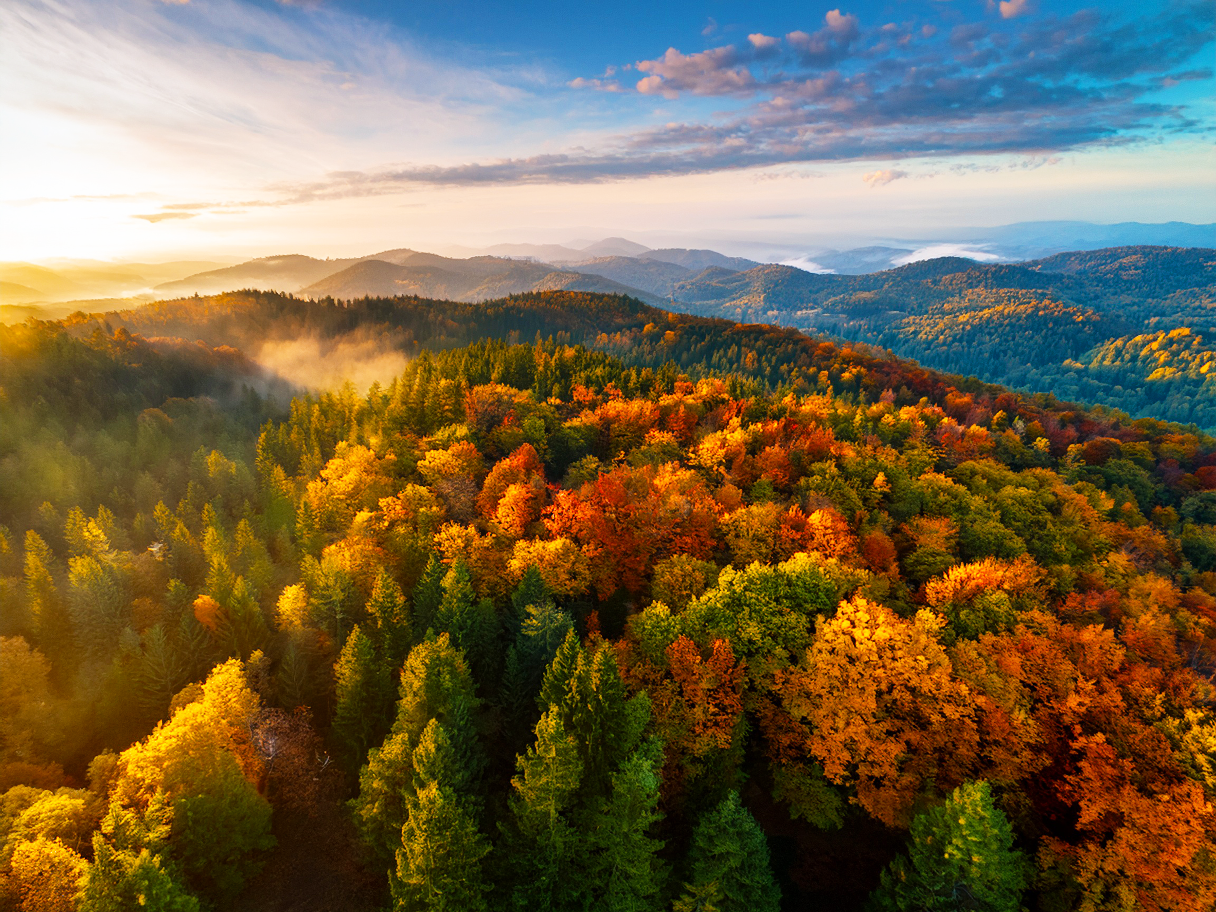 Serene Aerial View of Autumn Forest at Dawn - High-Resolution 16x12 Landscape Photography