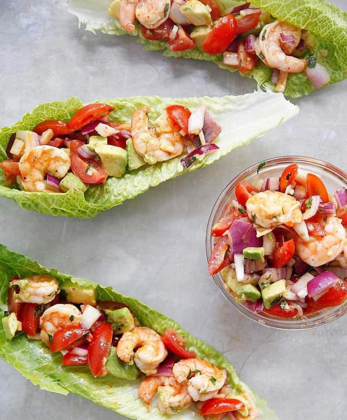 shrimp avo boats 