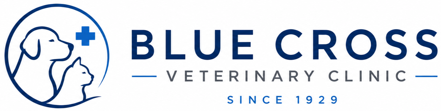 Blue Cross Veterinary Clinic | Aberdeen, WA