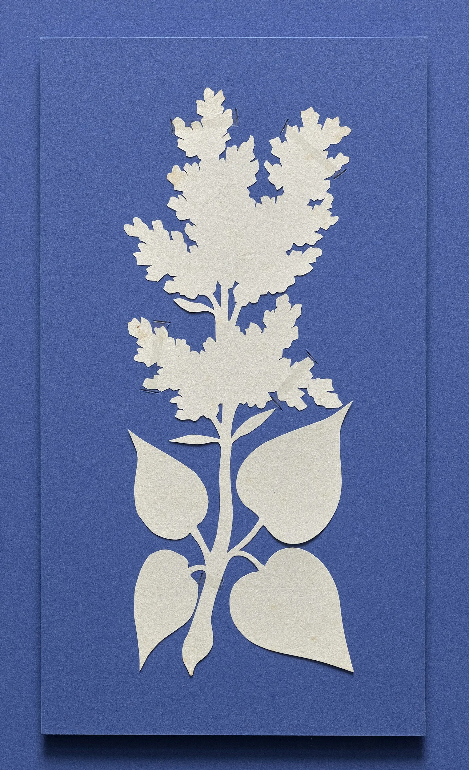 Papercutting and Screen Printing (Adults)
