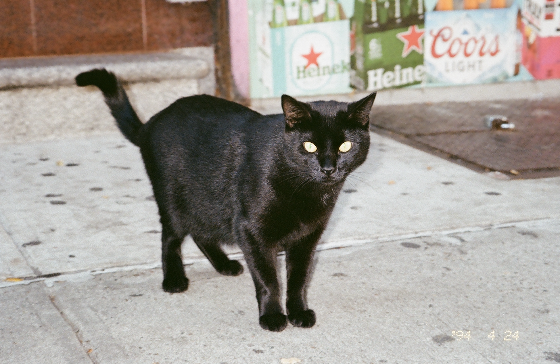 Screen Shot 2026-02-03 at 2.42.05 PM.png