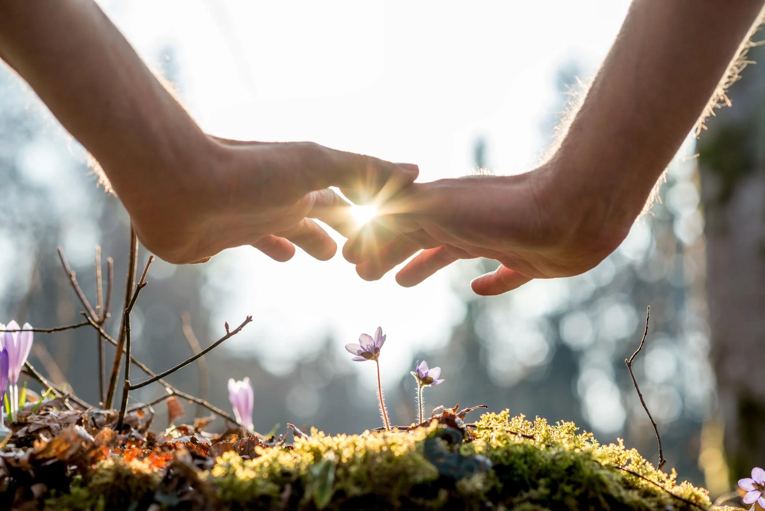 Soul Journey Experiences with Dawn