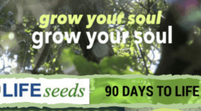 90 Days to Life Online Course - Come to LIFE and Live In Full Expression