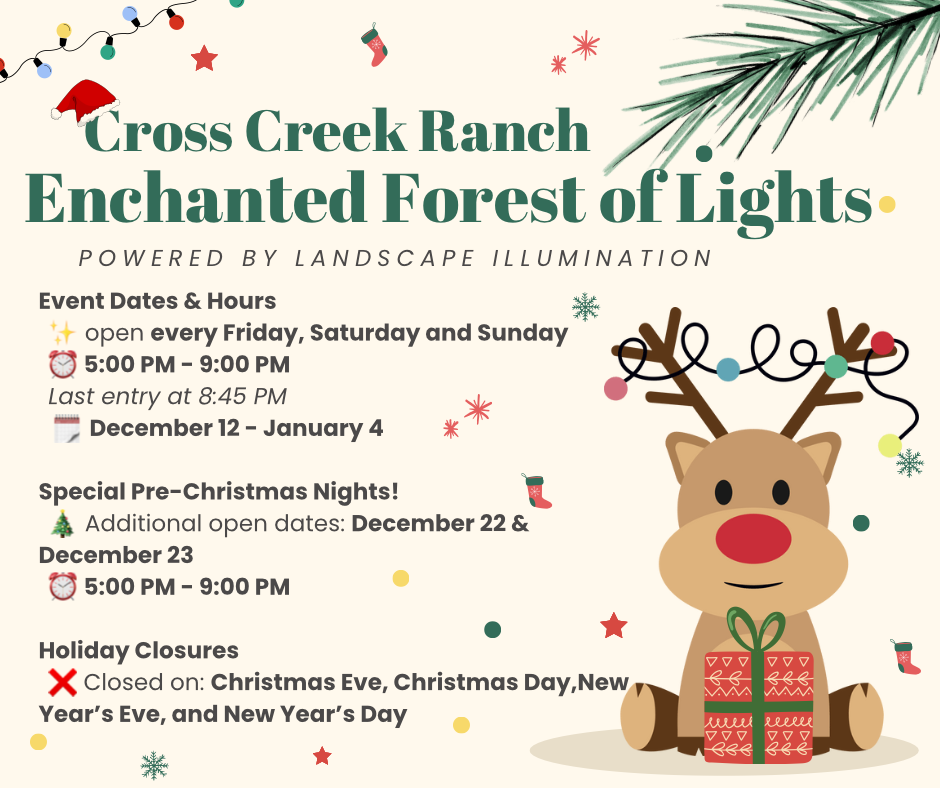 Enchanted Forest of Lights