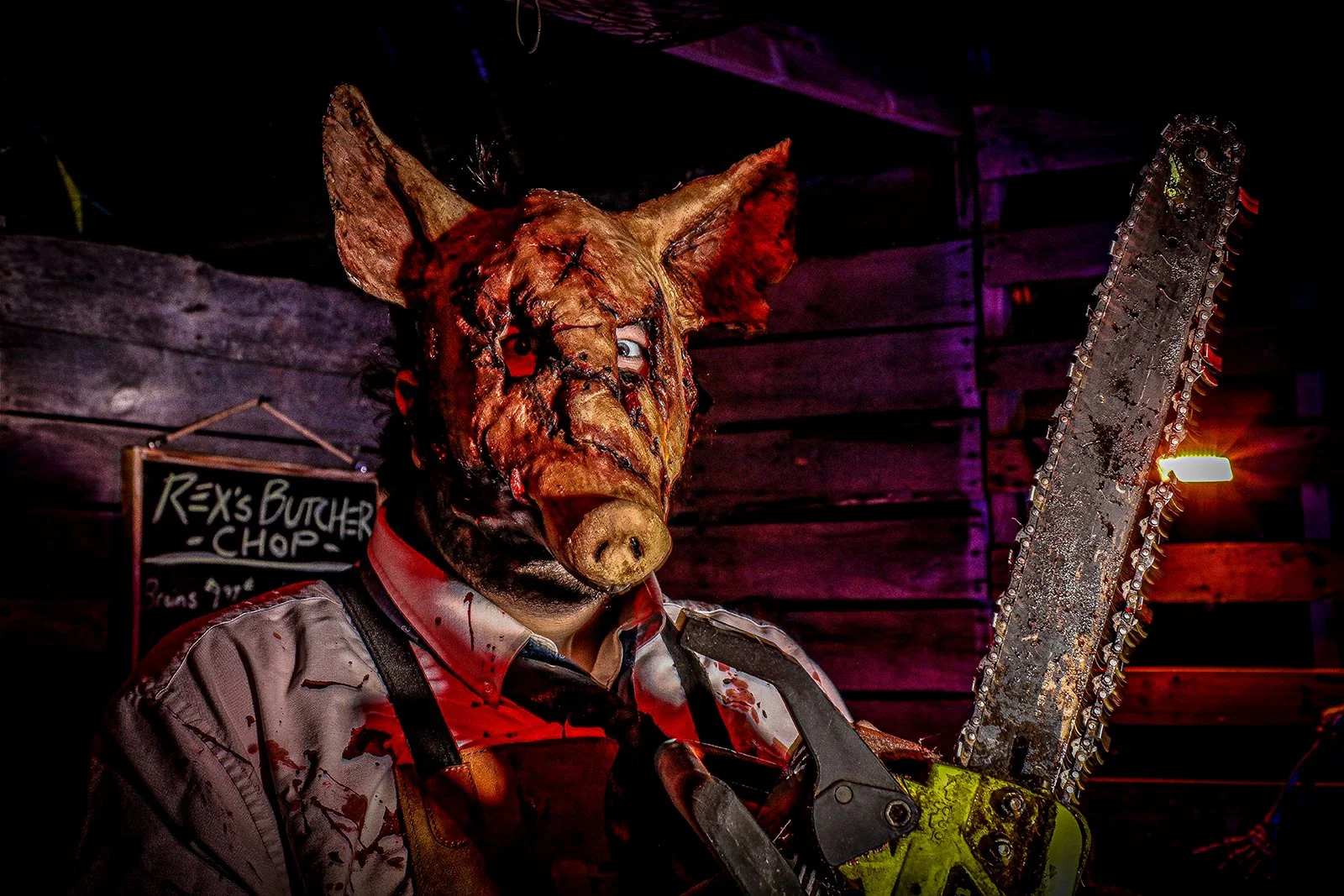 The Haunt Haunted Woods
