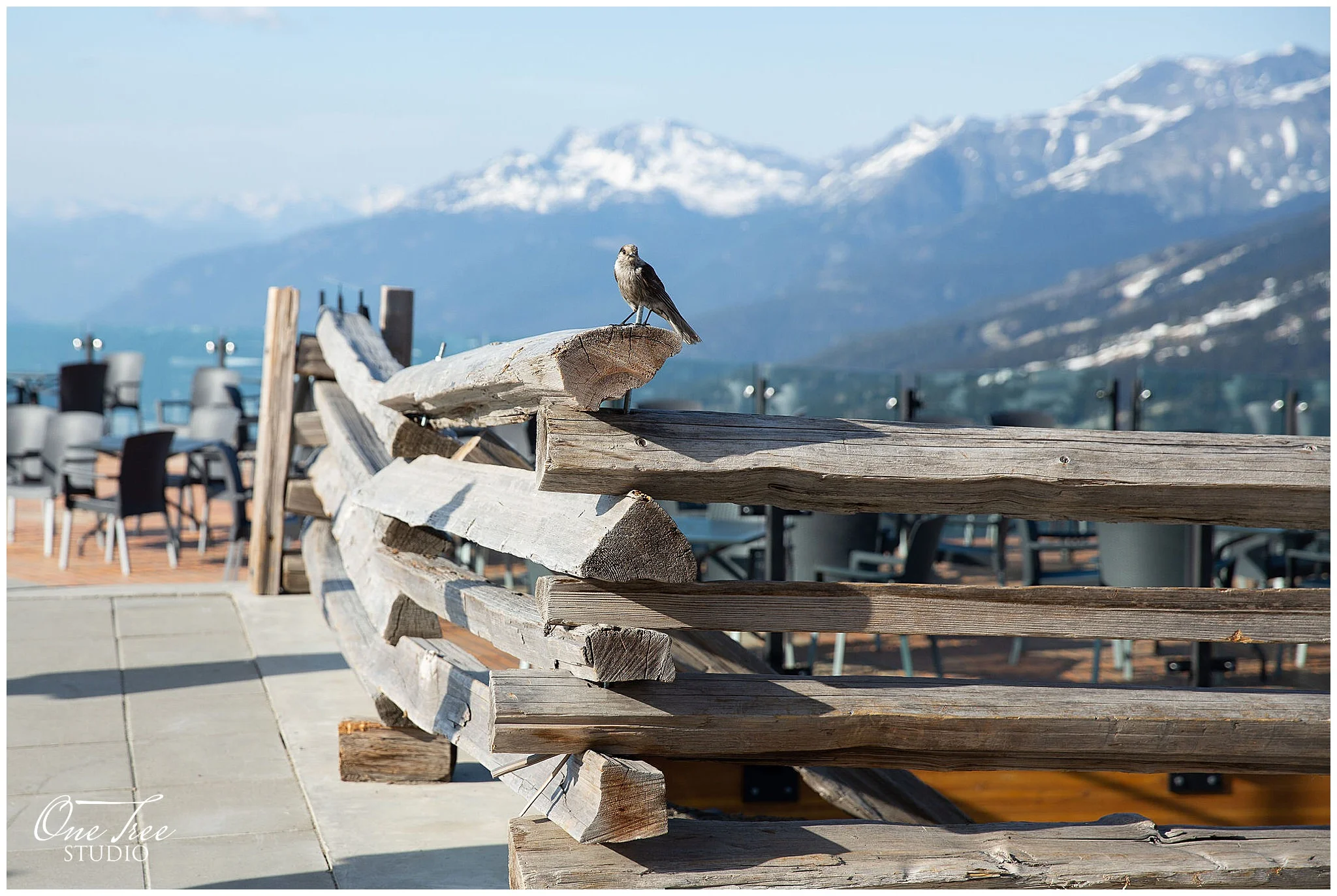 Roundhouse Lodge Whistler Event Photographer