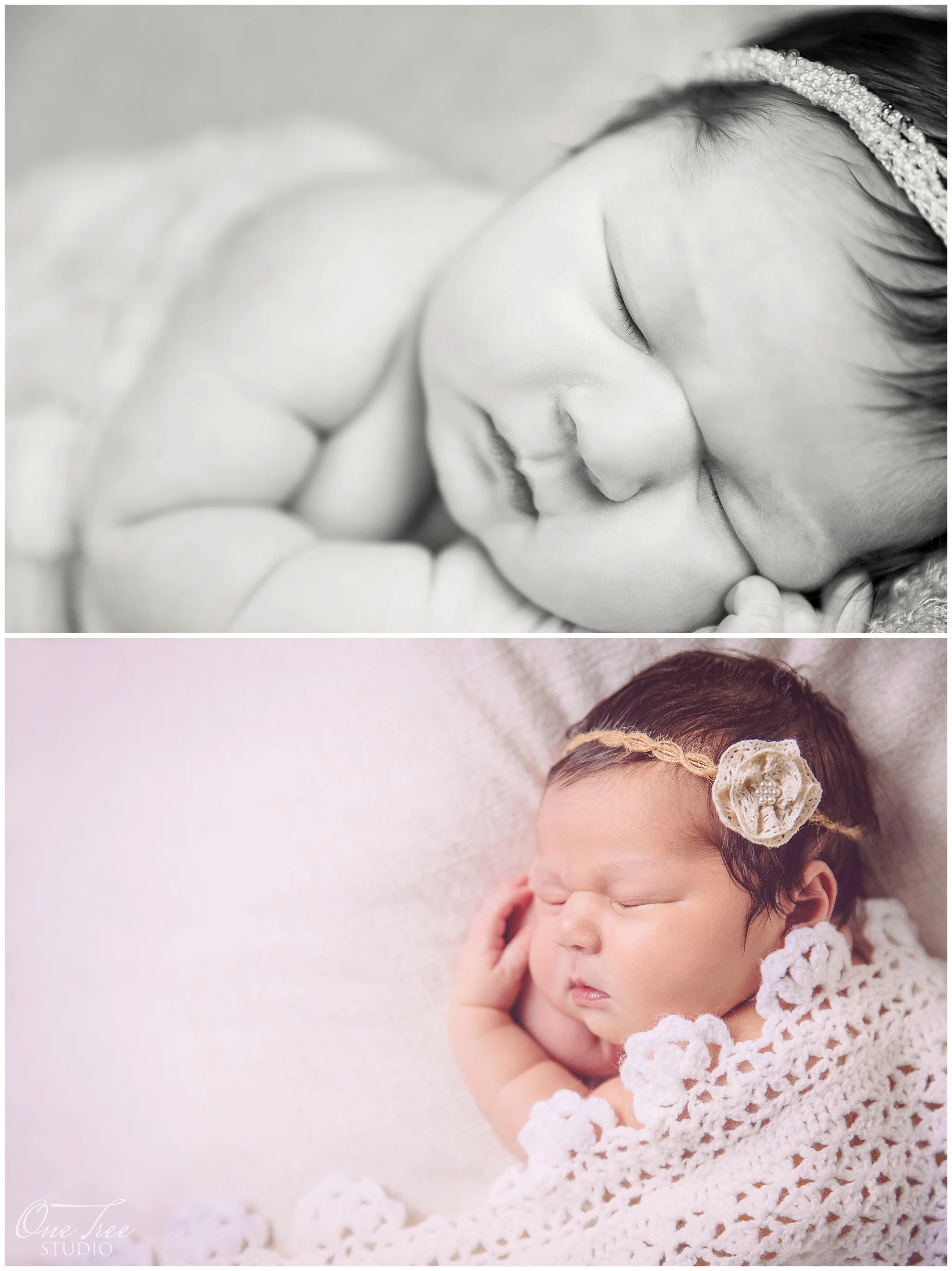 ©OneTreeStudioInc._0173.jpg