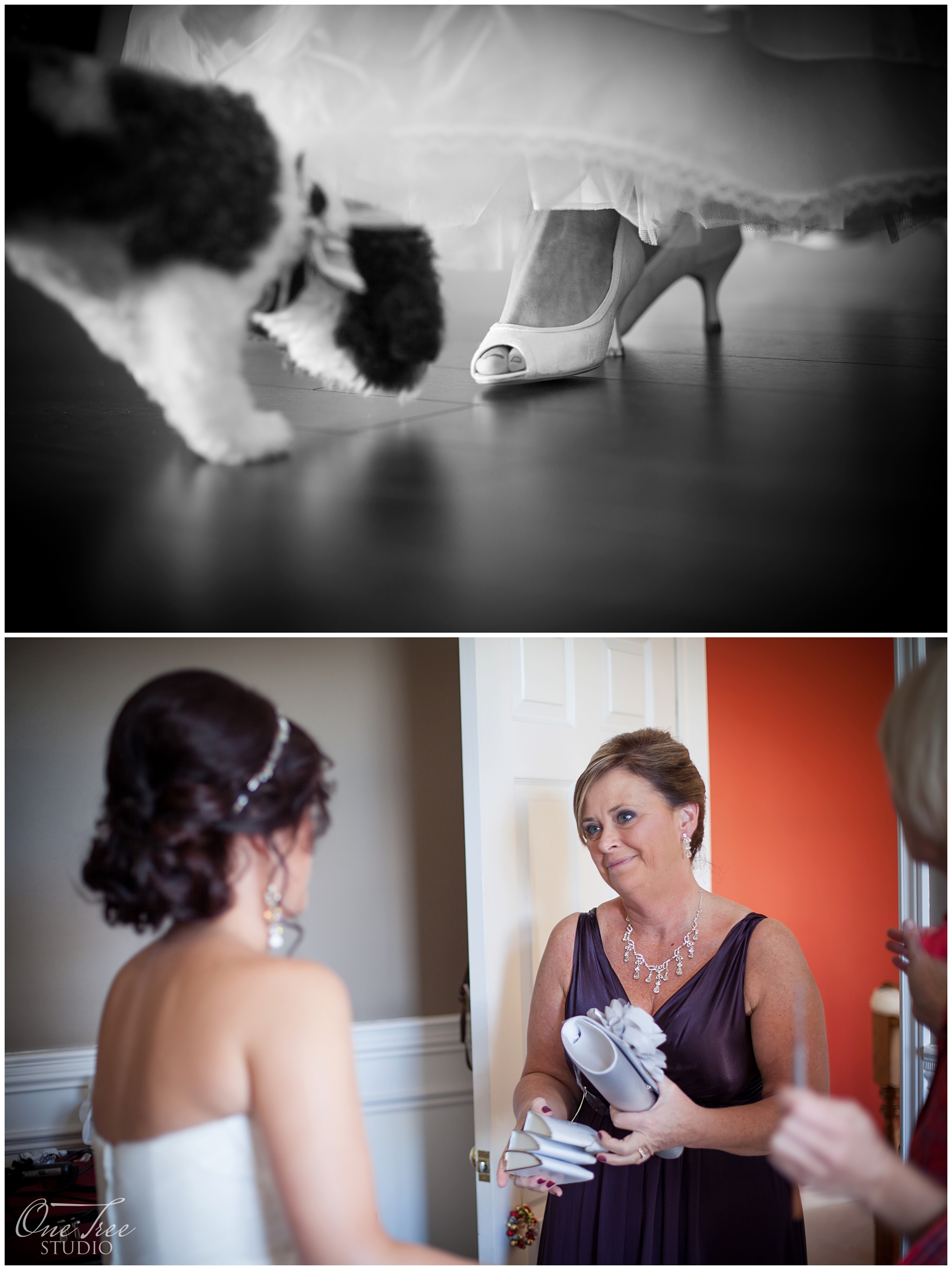 ©OneTreeStudioInc._0027.jpg