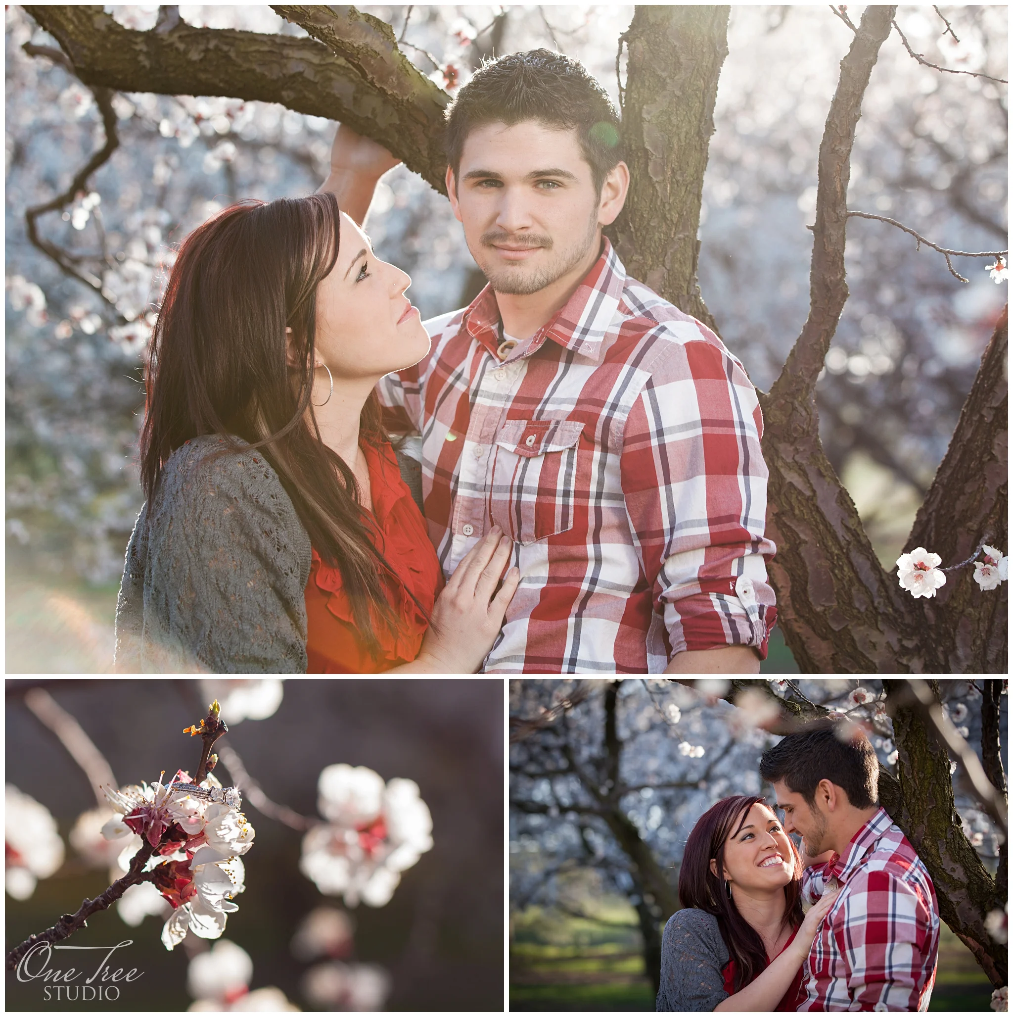 Allan + Brie's Engagement Shoot | St. Catharines Apple Orchard in Spring